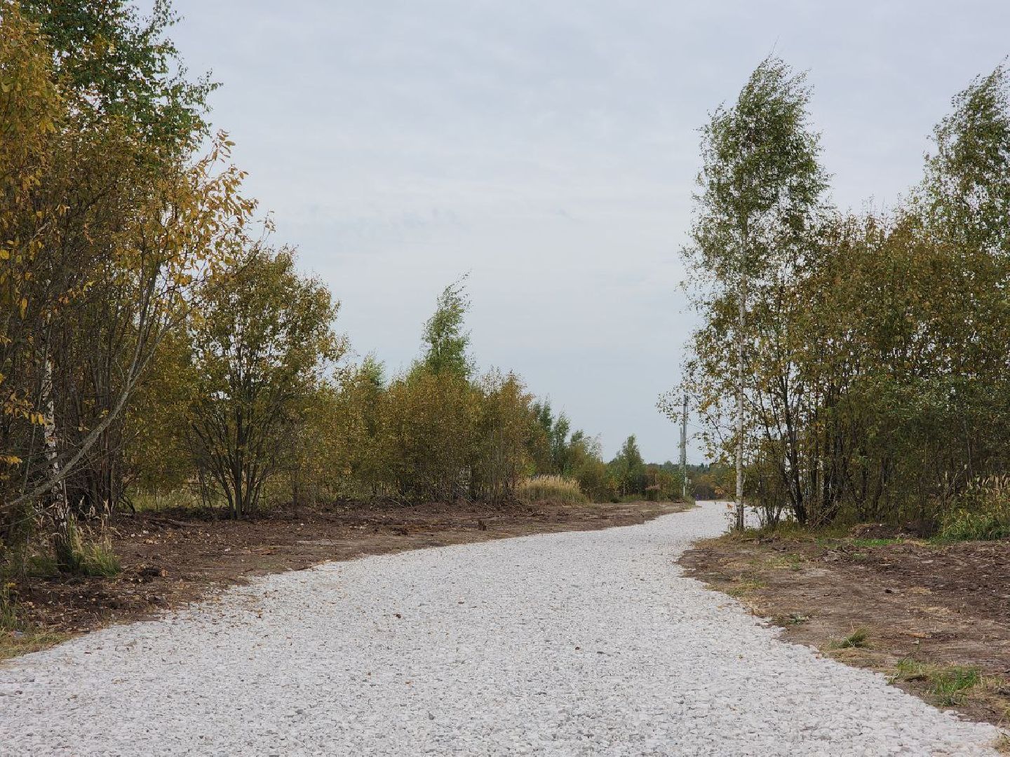 пущино, серпухов, шепилово, дороги, многодетные семьи,