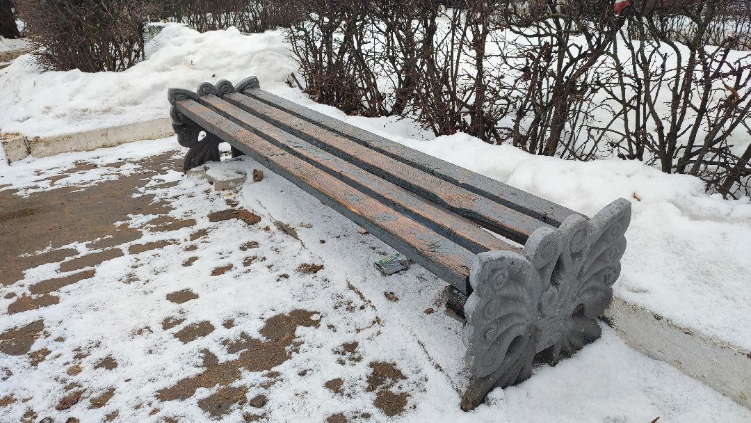 Кашира, общество