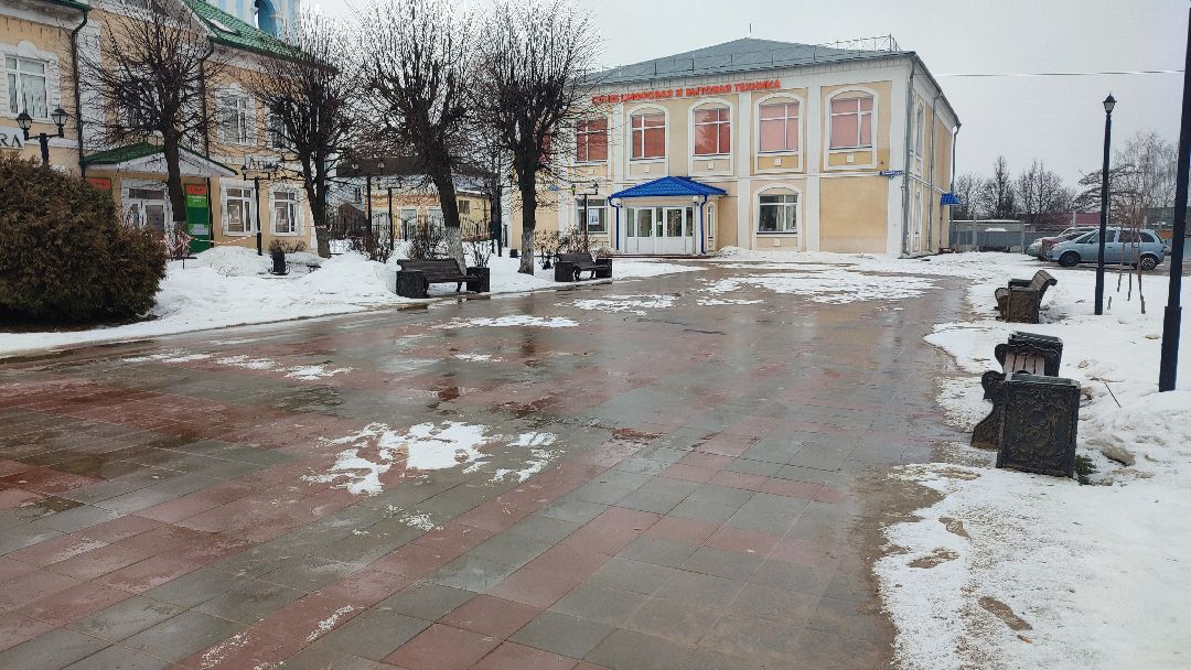 Кашира, общество