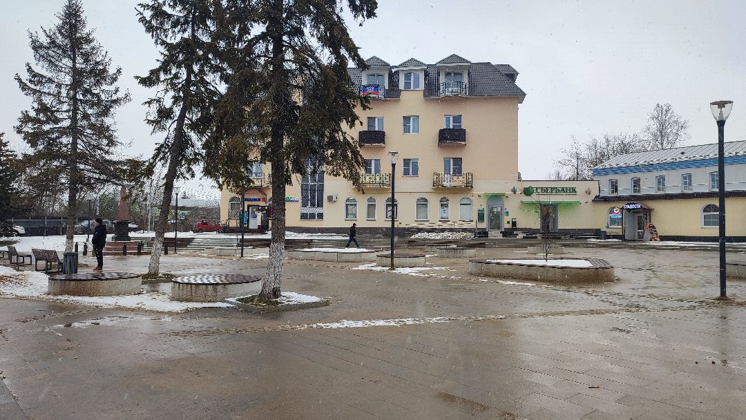 Кашира, общество