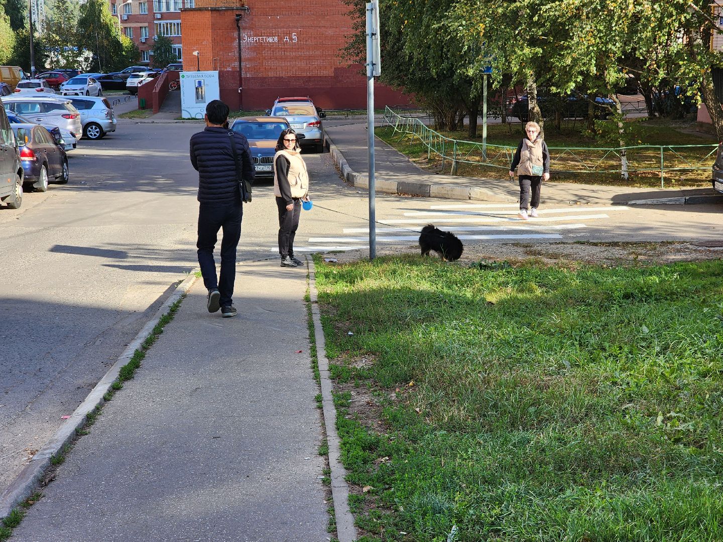 одинцово, лесной городок, благоустройство, разметка, парковка, пешеходный переход,