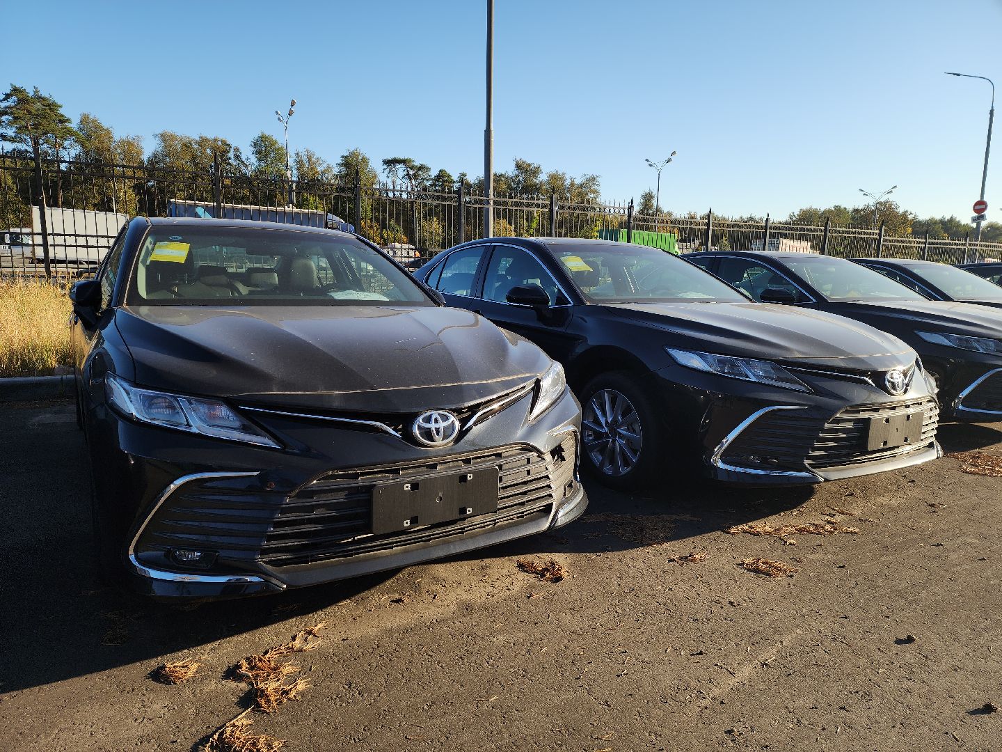 гринвуд, greenwood, красногорск, китай,