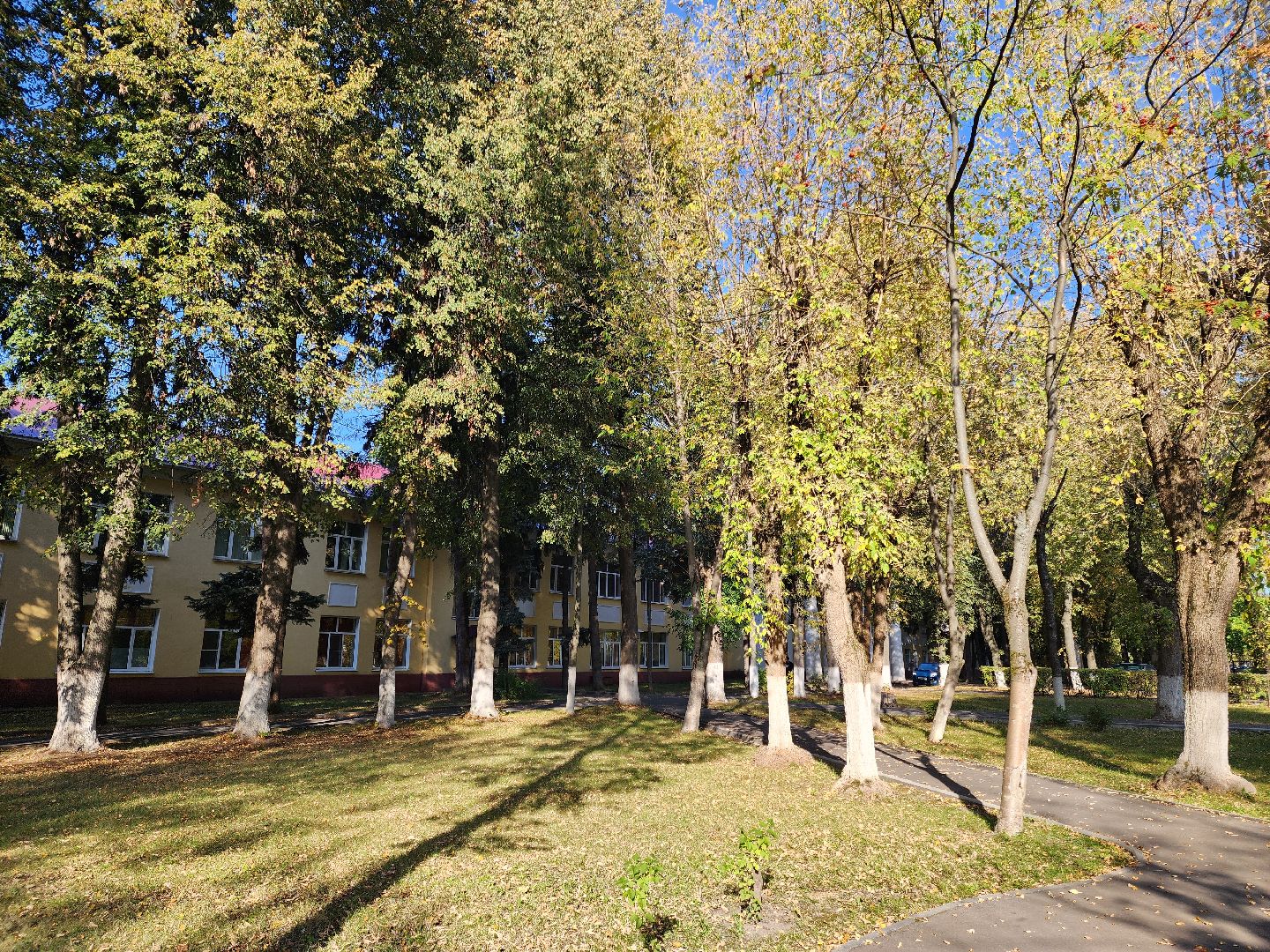 Медицина, Врач, Новый сотрудник, покб,