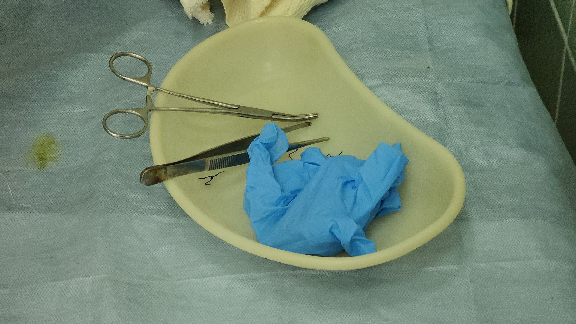 ступино, медицина подмосковья, земский доктор,