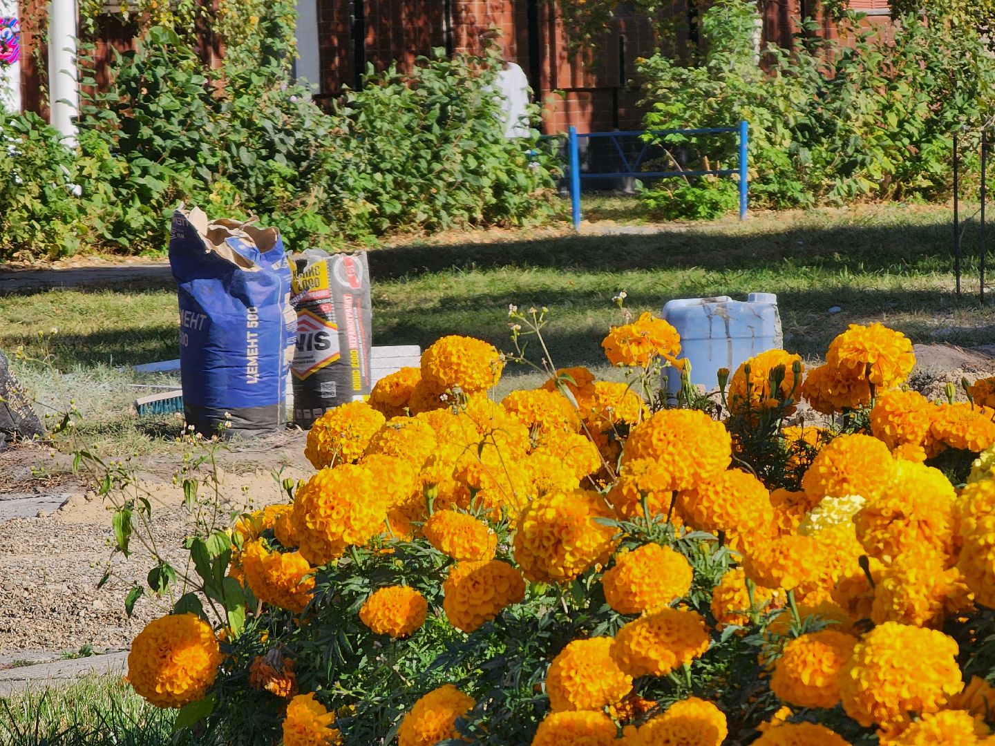 Коломна, благоустройство, формирование комфортной городской среды,