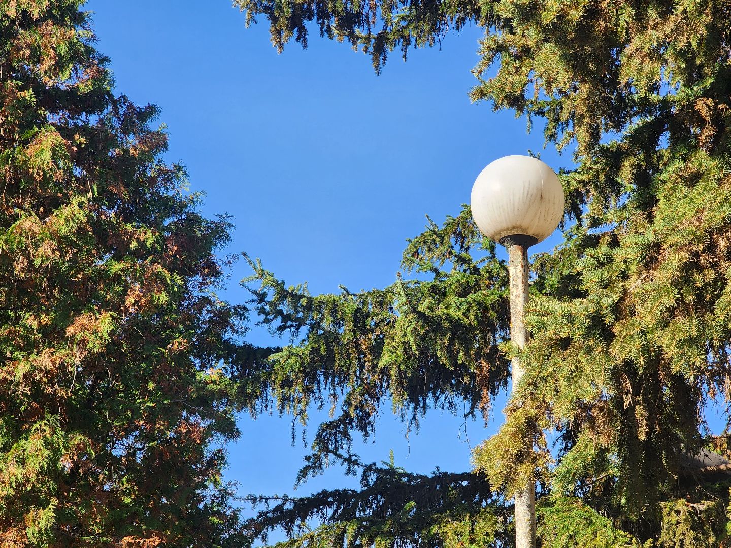 Коломна, благоустройство, формирование комфортной городской среды,