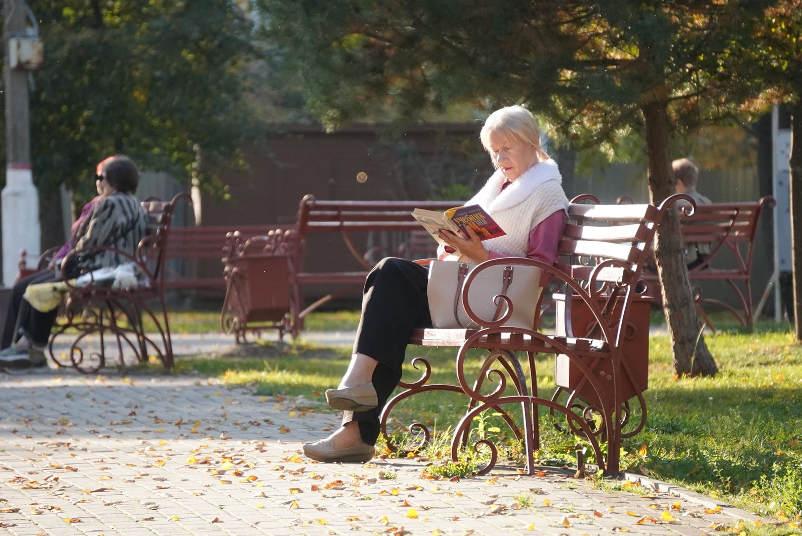 Павловский Посад, Городской округ Павловский Посад, выездная администрация апрелевка, Жители, Обращения, Дворы,