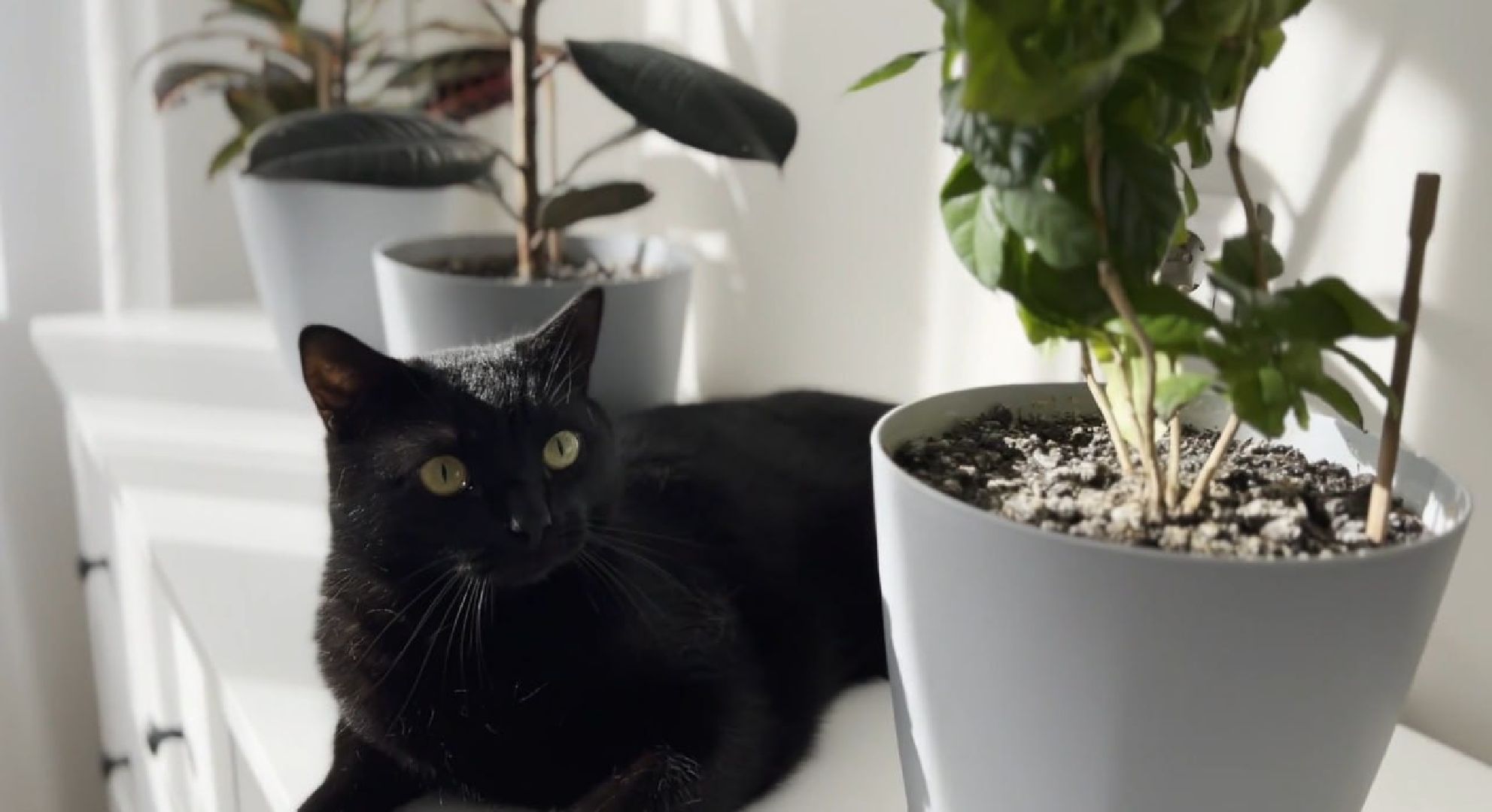 социальная ипотека, губернатор московской области андрей воробьев, образование в подмосковье, образование в подольске, школа, день учителя,