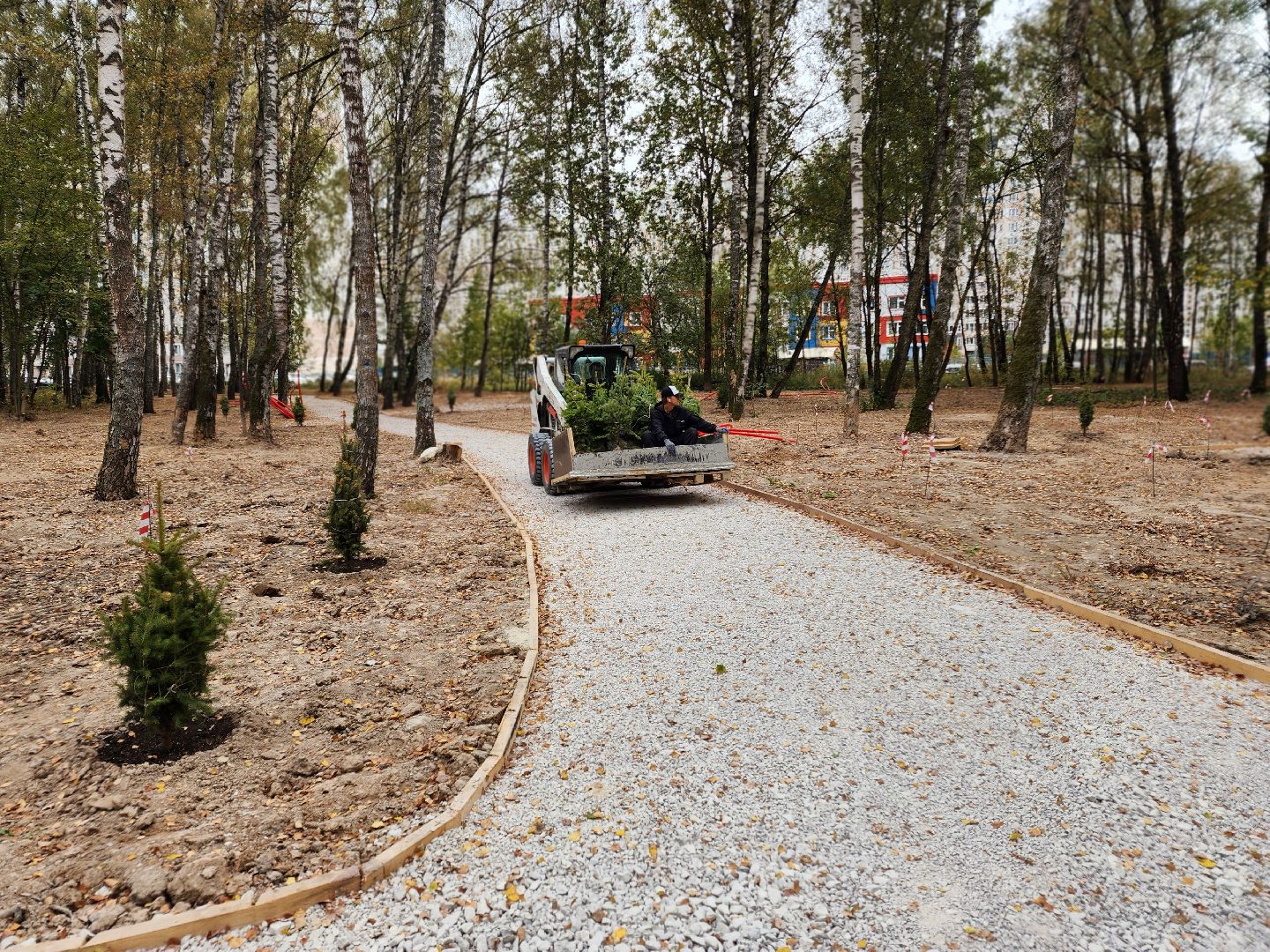 Чехов, микрорайон Губернский, лесопарк, лесопарковая зона отдыха, строительство, благоустройство, программа Парки в лесу, губернатор московской области, глава округа михаил собакин,
