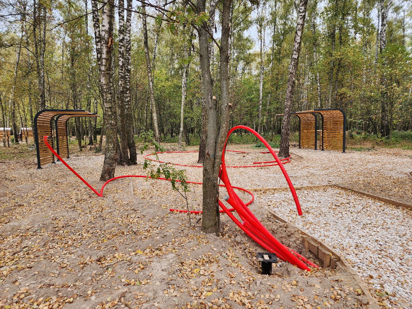 Чехов, микрорайон Губернский, лесопарк, лесопарковая зона отдыха, строительство, благоустройство, программа Парки в лесу, губернатор московской области, глава округа михаил собакин,