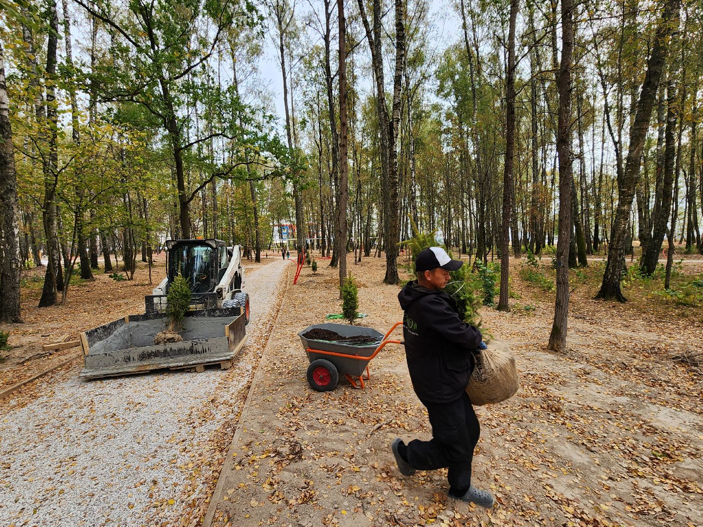 Чехов, микрорайон Губернский, лесопарк, лесопарковая зона отдыха, строительство, благоустройство, программа Парки в лесу, губернатор московской области, глава округа михаил собакин,