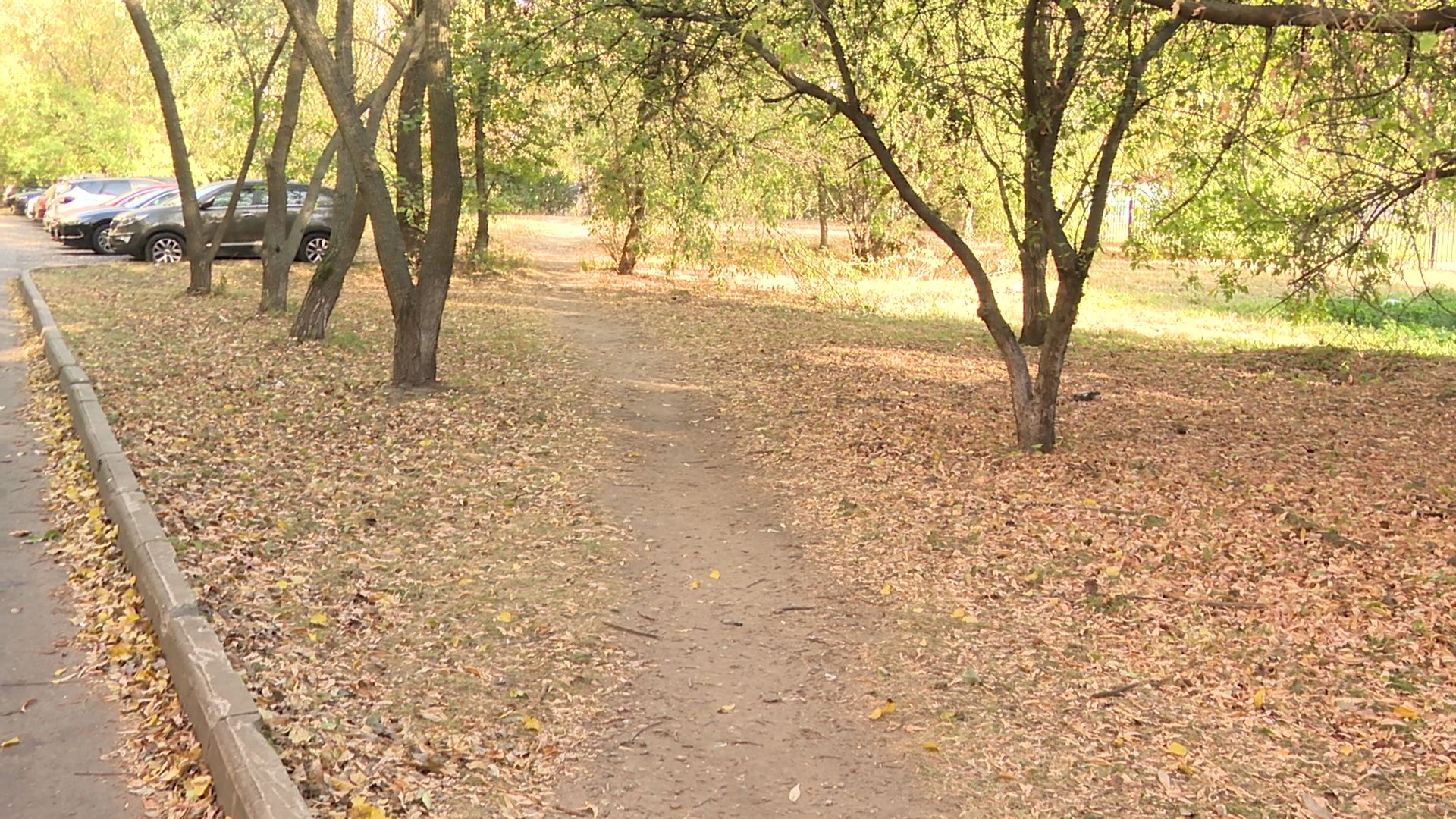 Реутов, благоустройство, фонари, проводка, освещение,