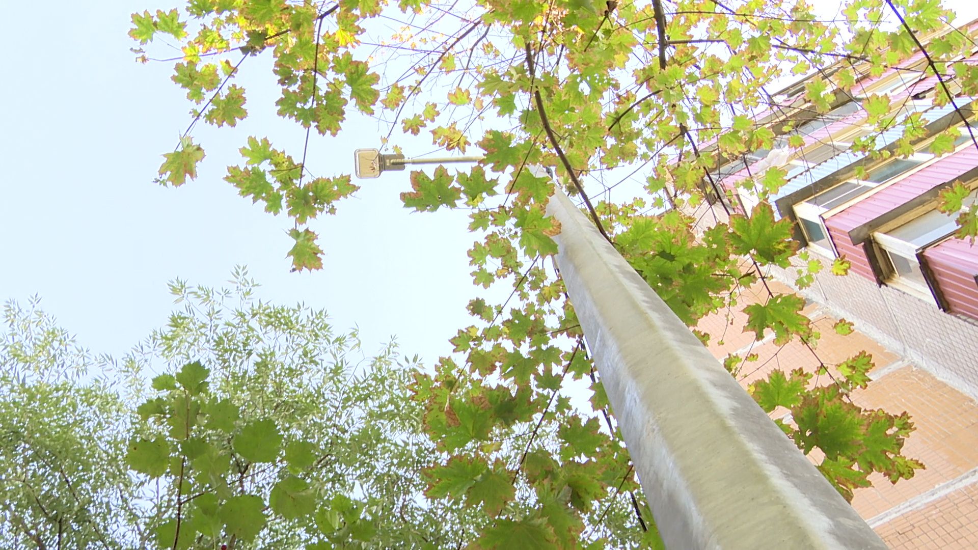 Реутов, благоустройство, фонари, проводка, освещение,