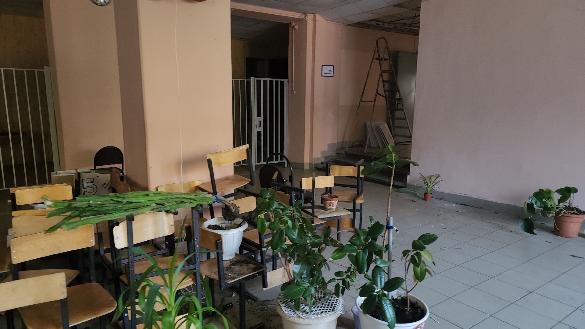 школа, капремонт, история,