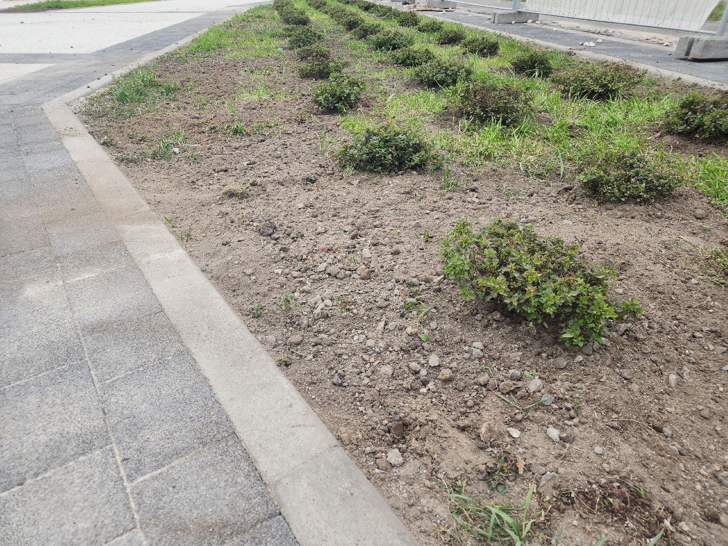 благоустройство 2024, ликино-дулево, орехово-зуевский округ,