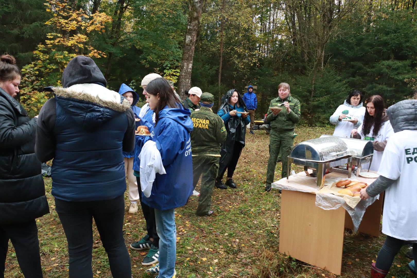 чистый лес, лесничество, экологическая акция,