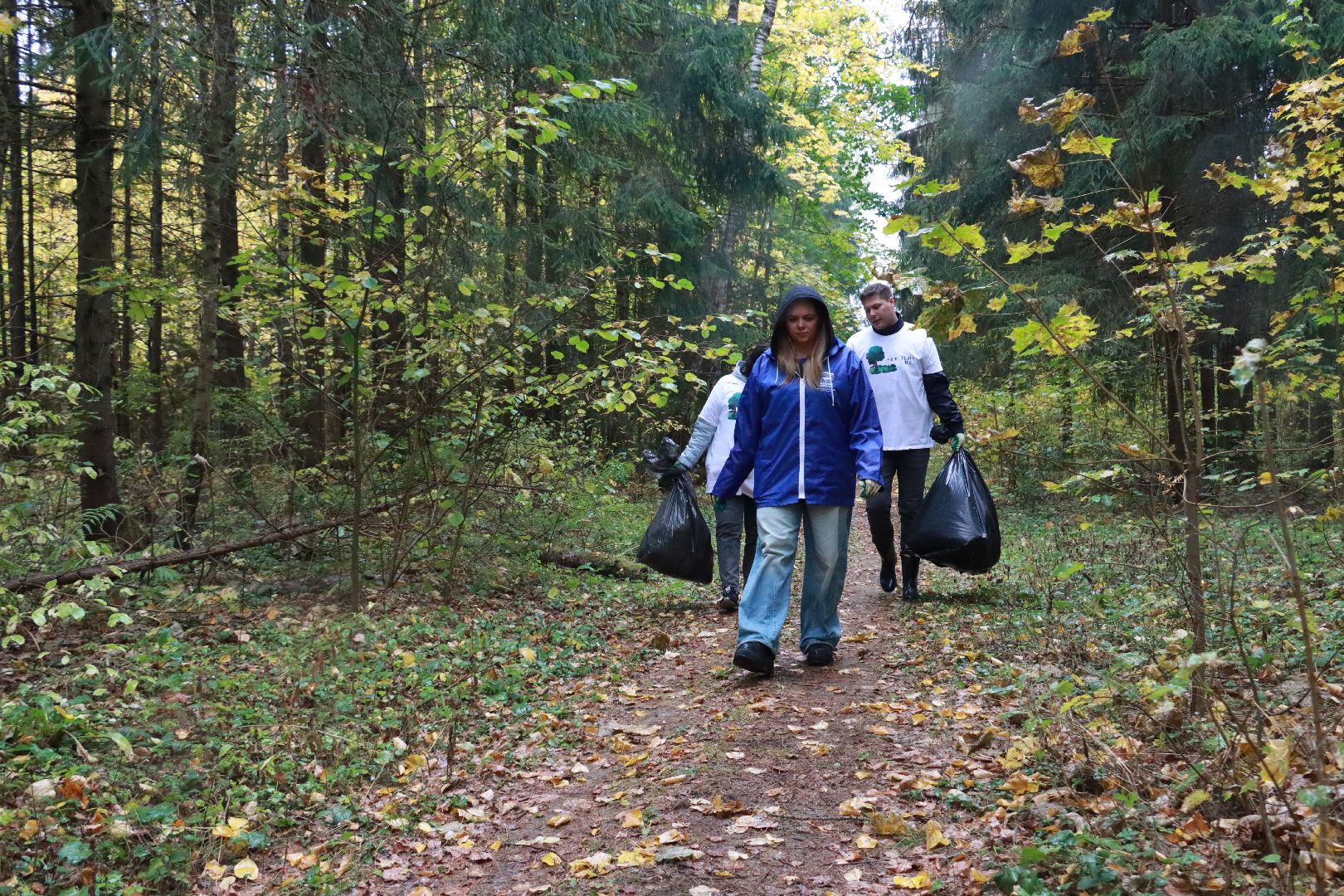чистый лес, лесничество, экологическая акция,