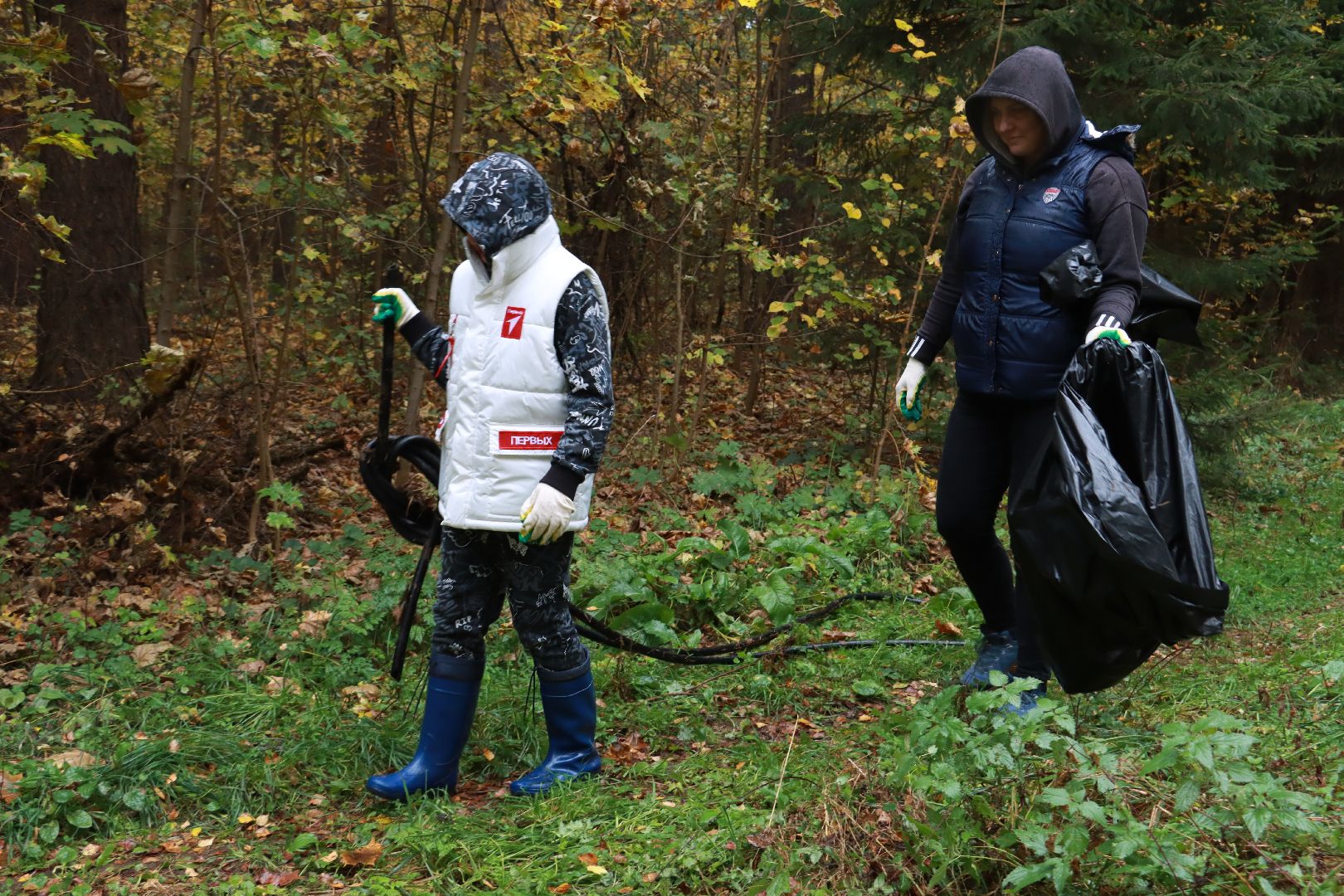 чистый лес, лесничество, экологическая акция,