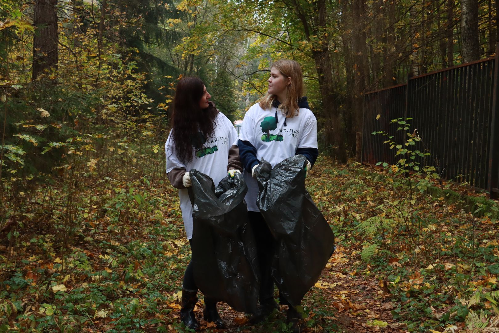 чистый лес, лесничество, экологическая акция,