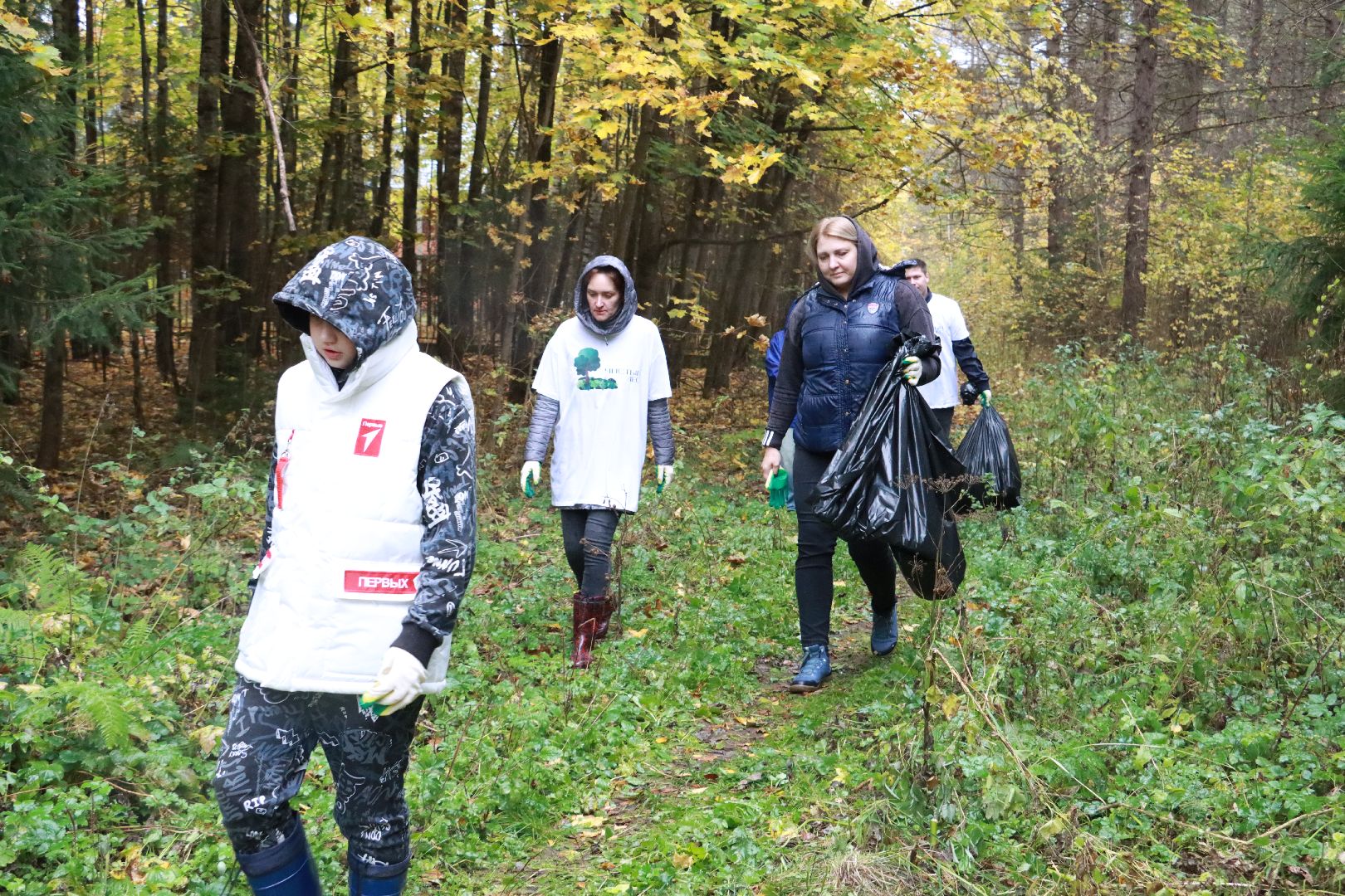 чистый лес, лесничество, экологическая акция,