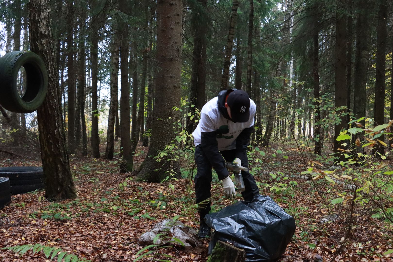чистый лес, лесничество, экологическая акция,