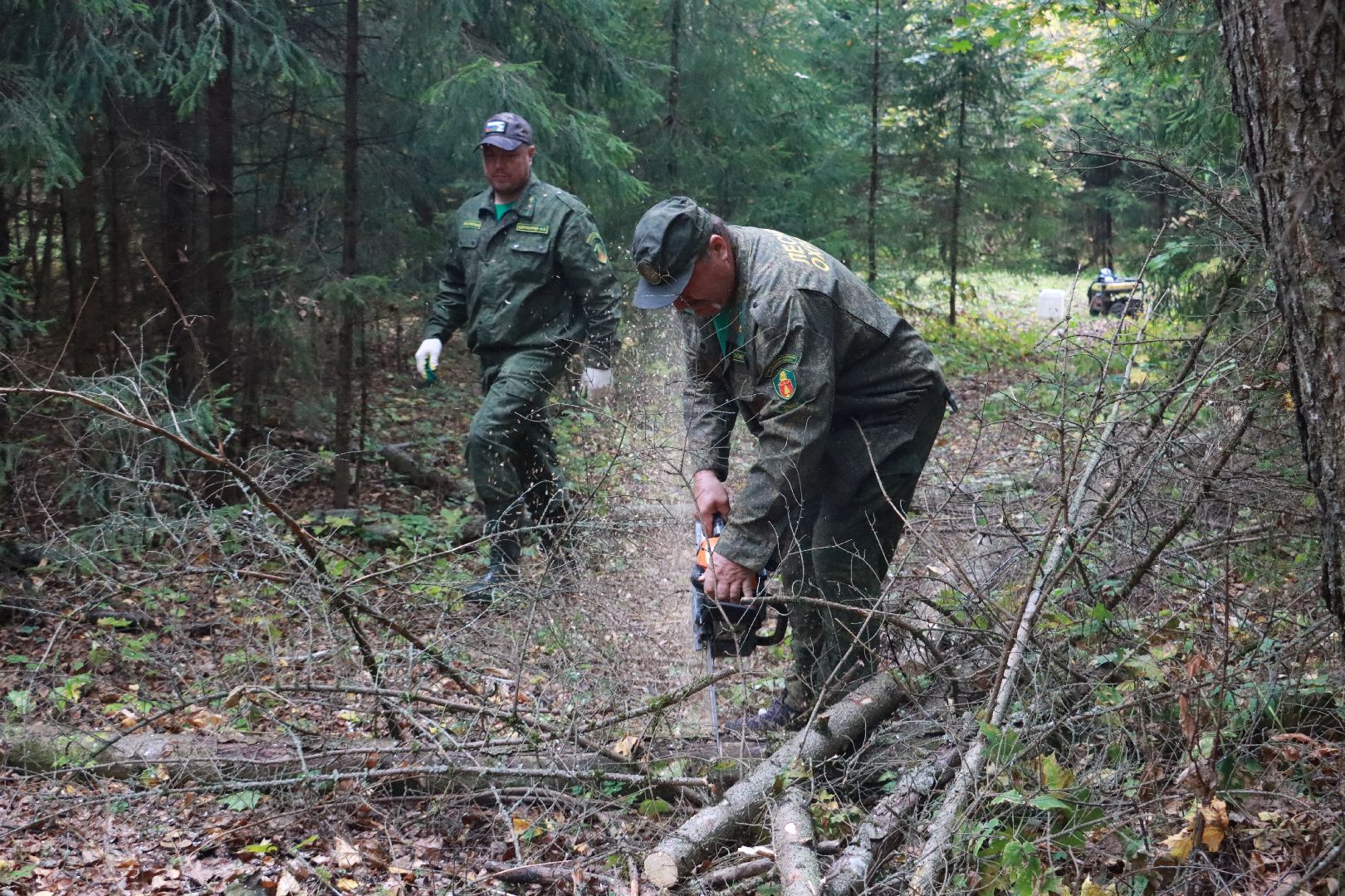 чистый лес, лесничество, экологическая акция,
