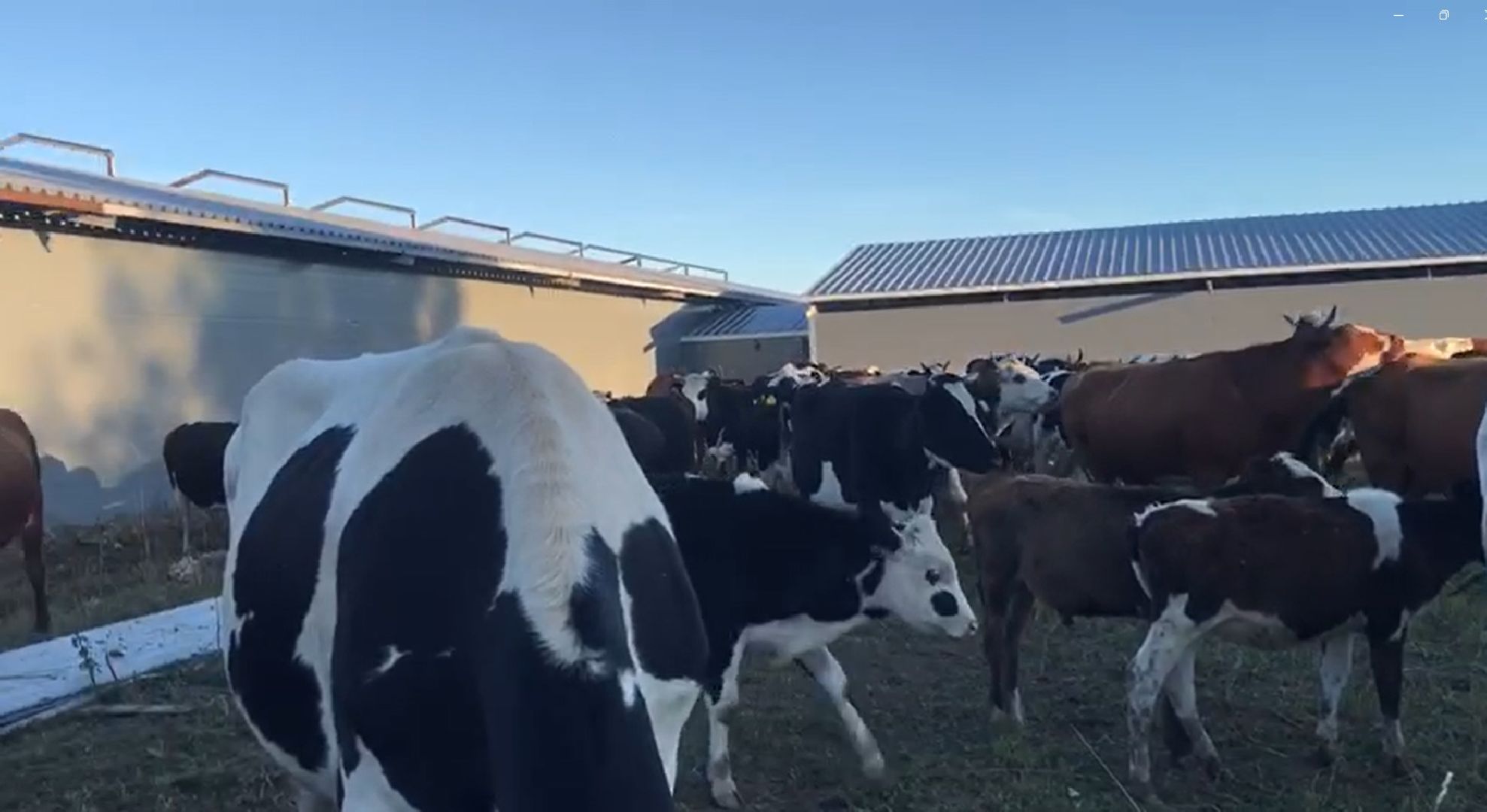 Дмитров, КФХ Свободный труд, Минсельхоз МО