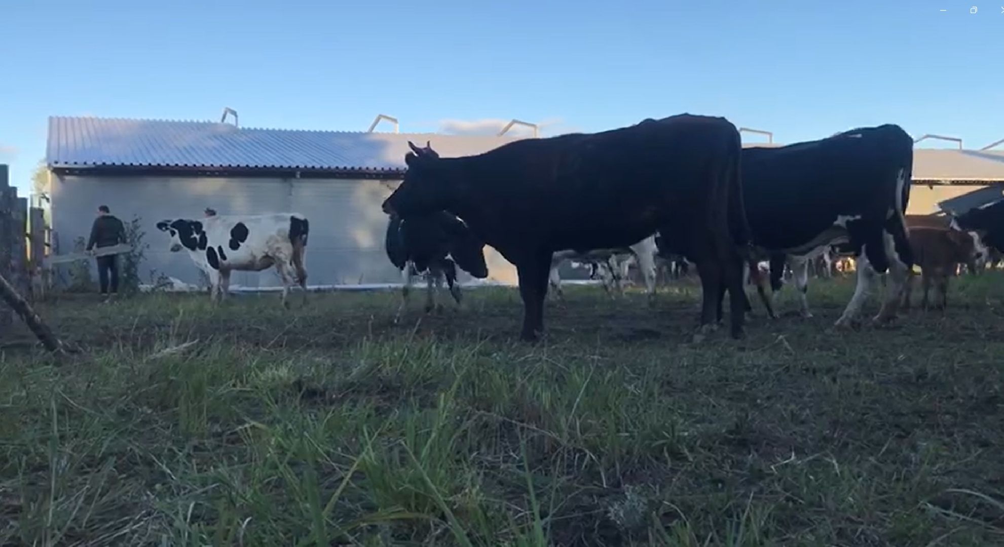 Дмитров, КФХ Свободный труд, Минсельхоз МО