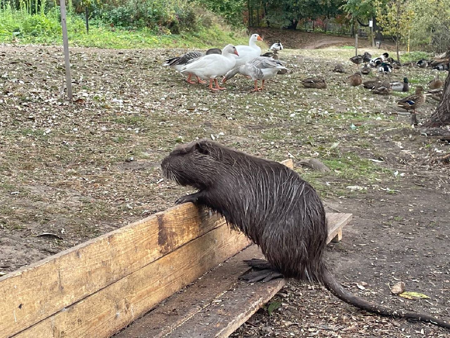 Дмитров, Водохранилище в Орудьево,