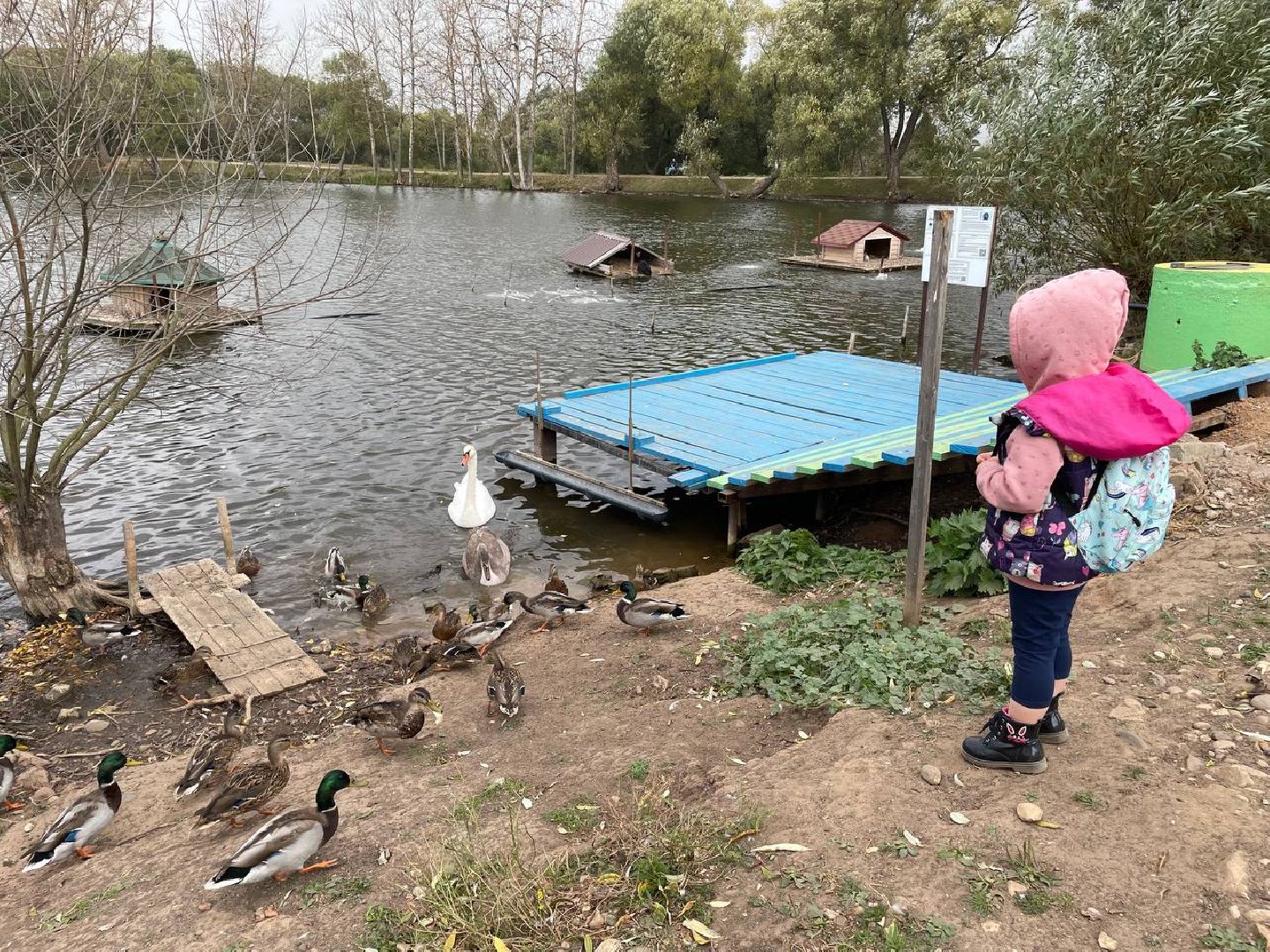 Дмитров, Водохранилище в Орудьево,