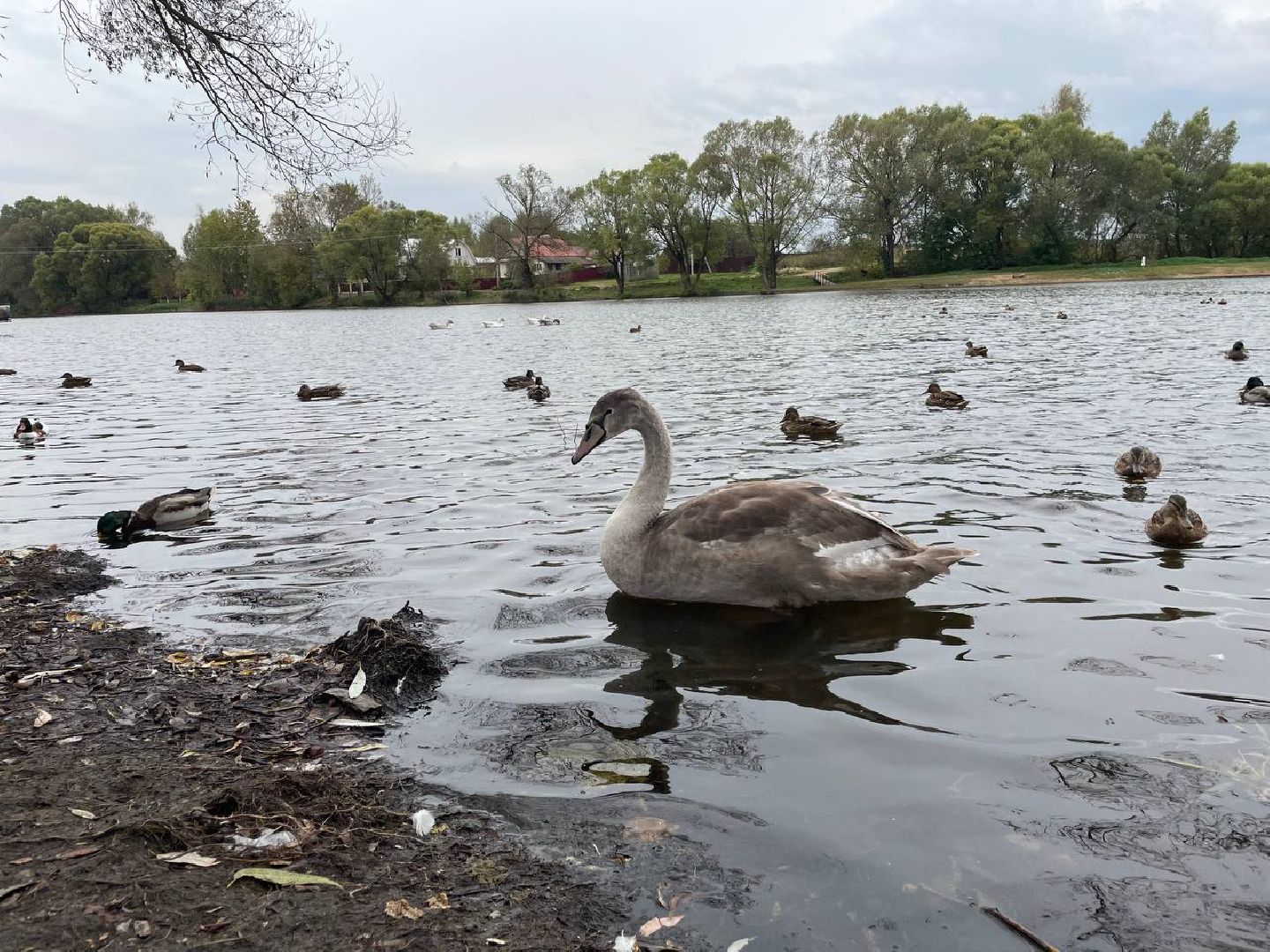 Дмитров, Водохранилище в Орудьево,