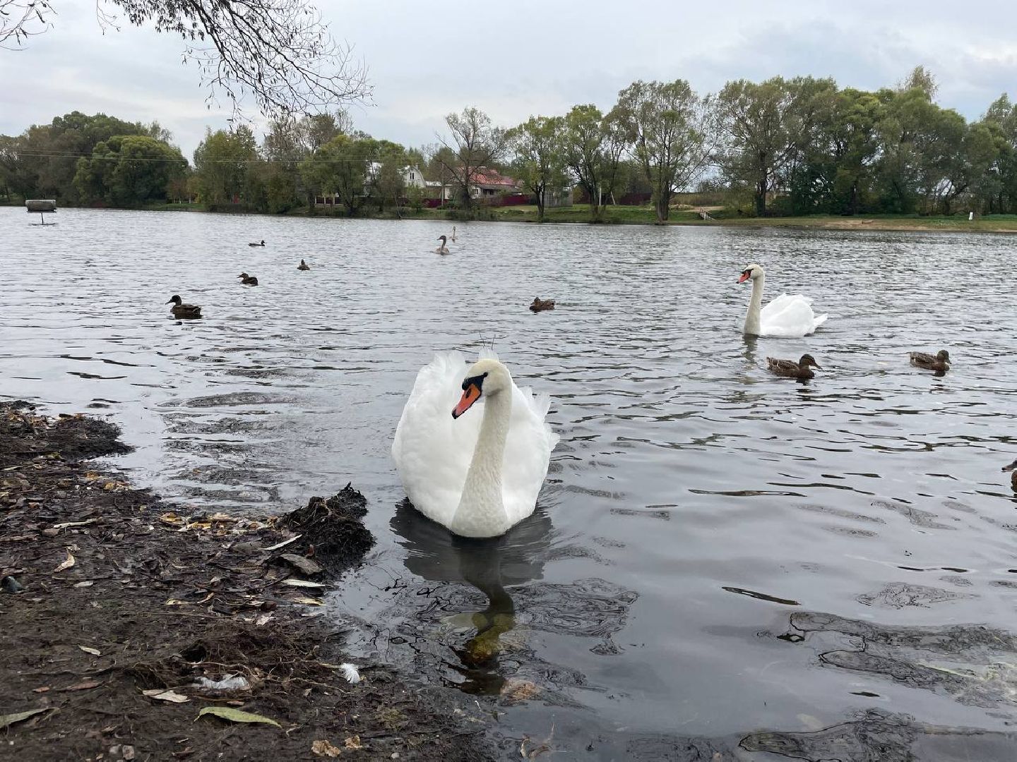 Дмитров, Водохранилище в Орудьево,