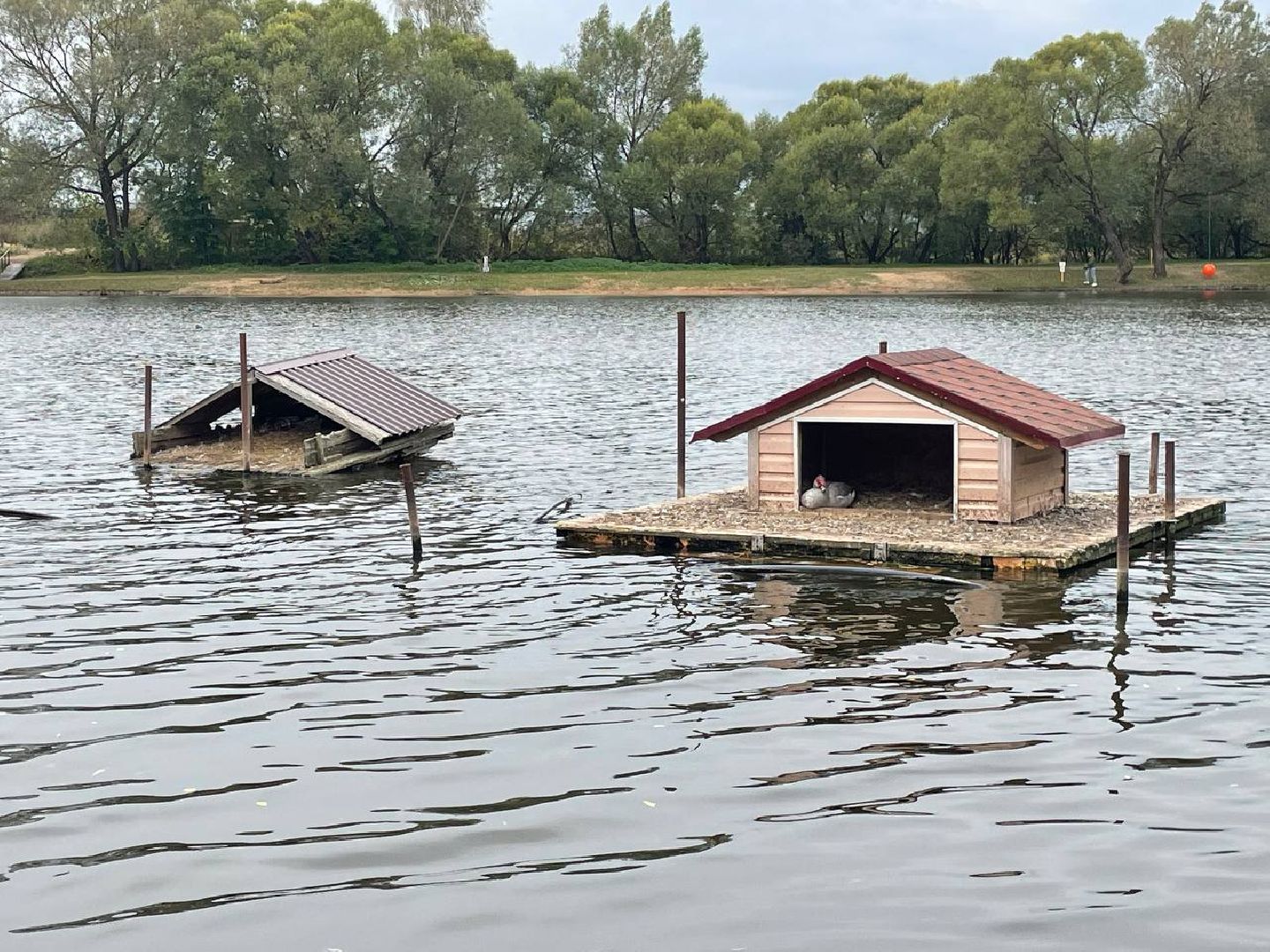 Дмитров, Водохранилище в Орудьево,