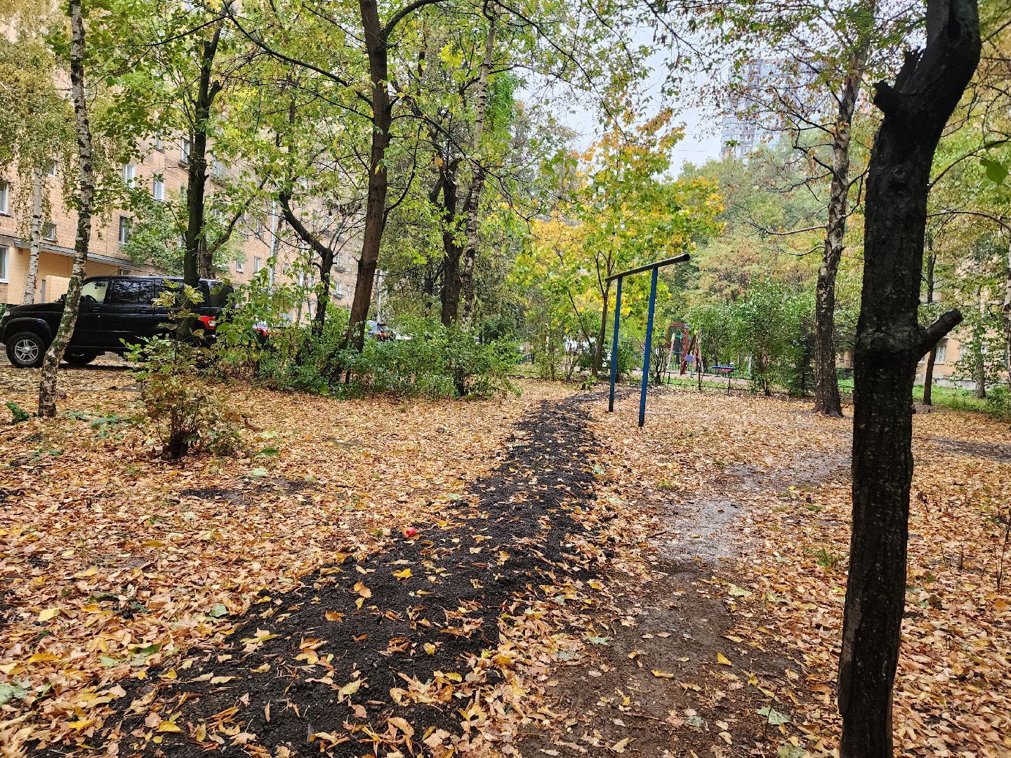 одинцово, светлый город,