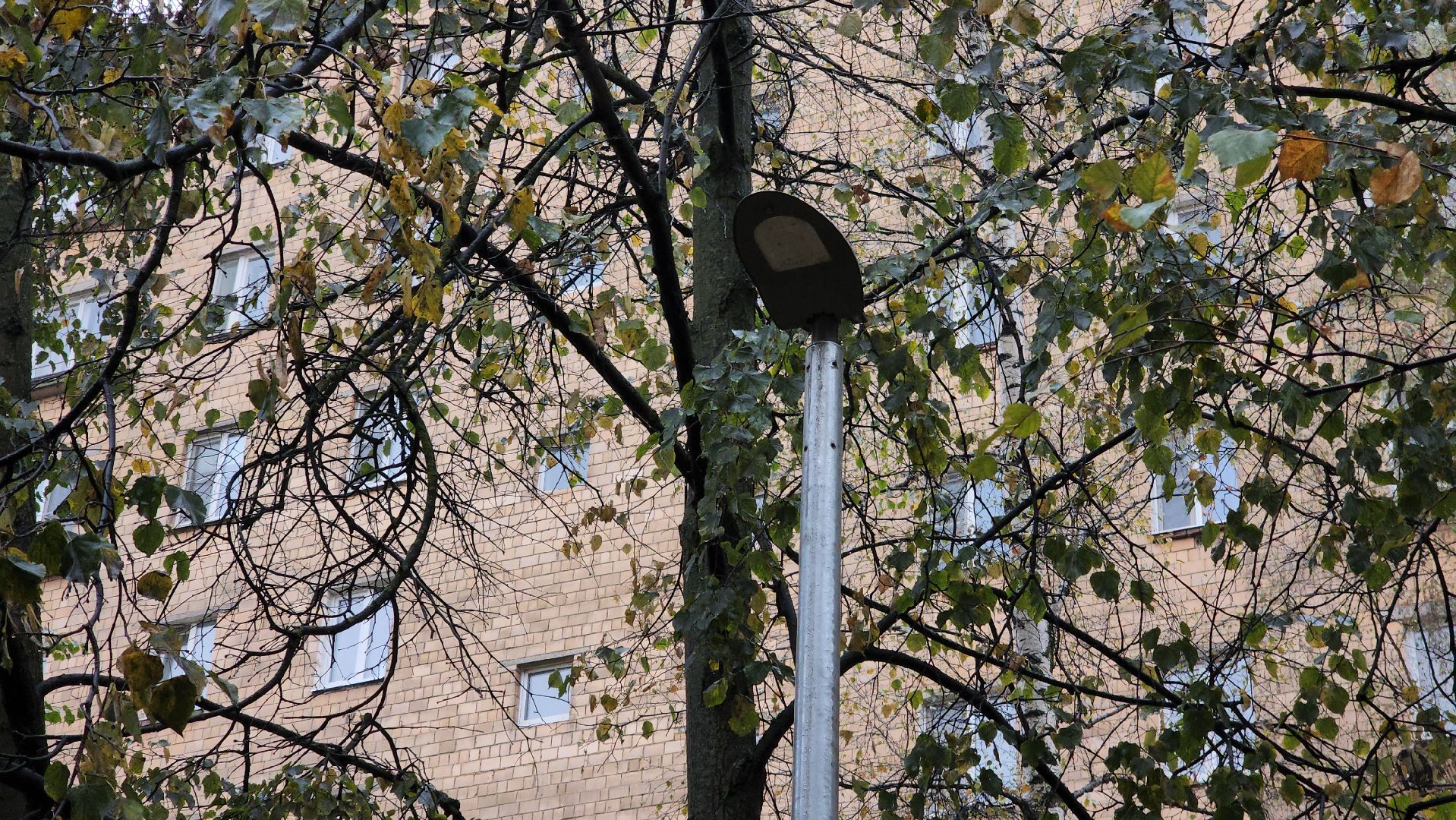 одинцово, светлый город,