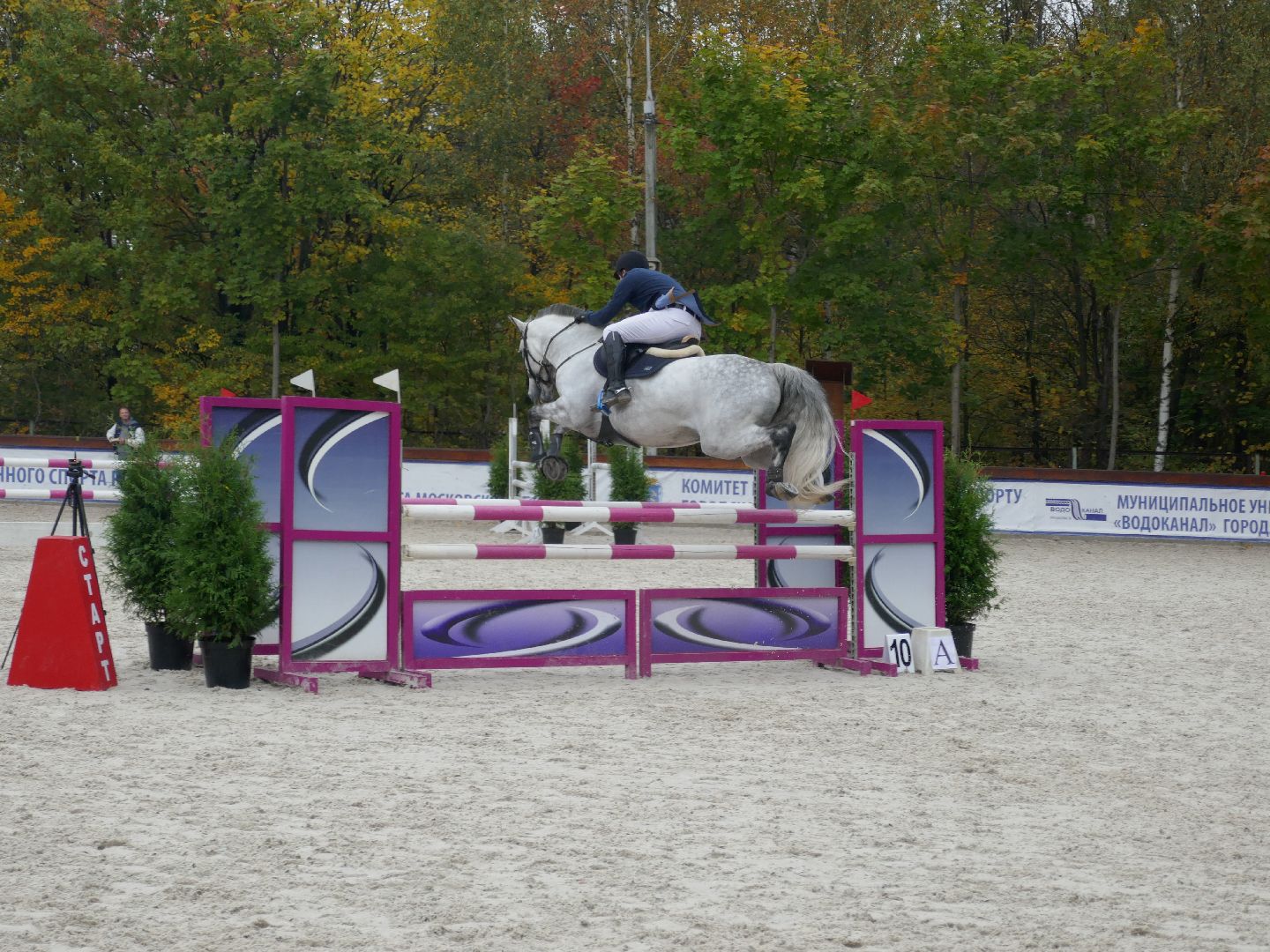 Подольск, Конкур, День города, Спорт, Фаворит,