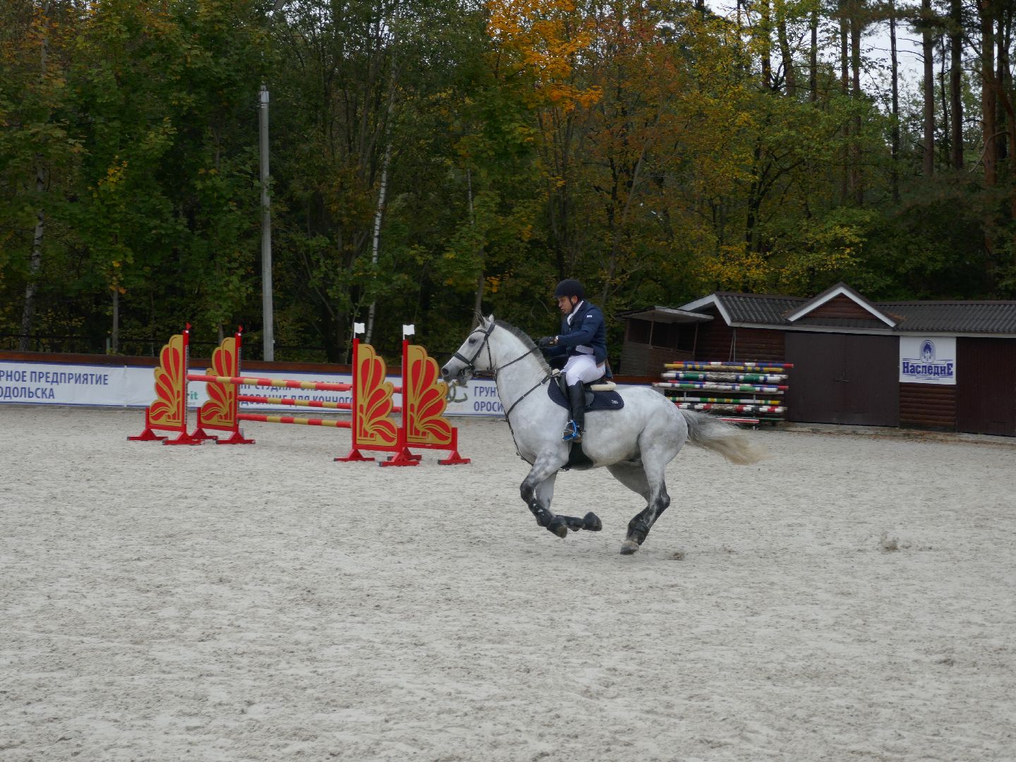 Подольск, Конкур, День города, Спорт, Фаворит,