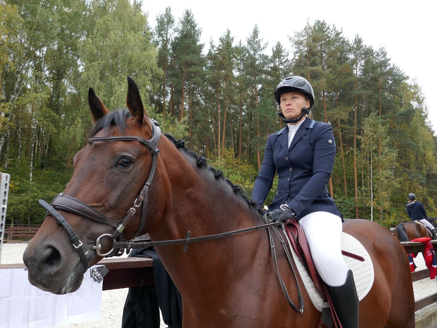 Подольск, Конкур, День города, Спорт, Фаворит,