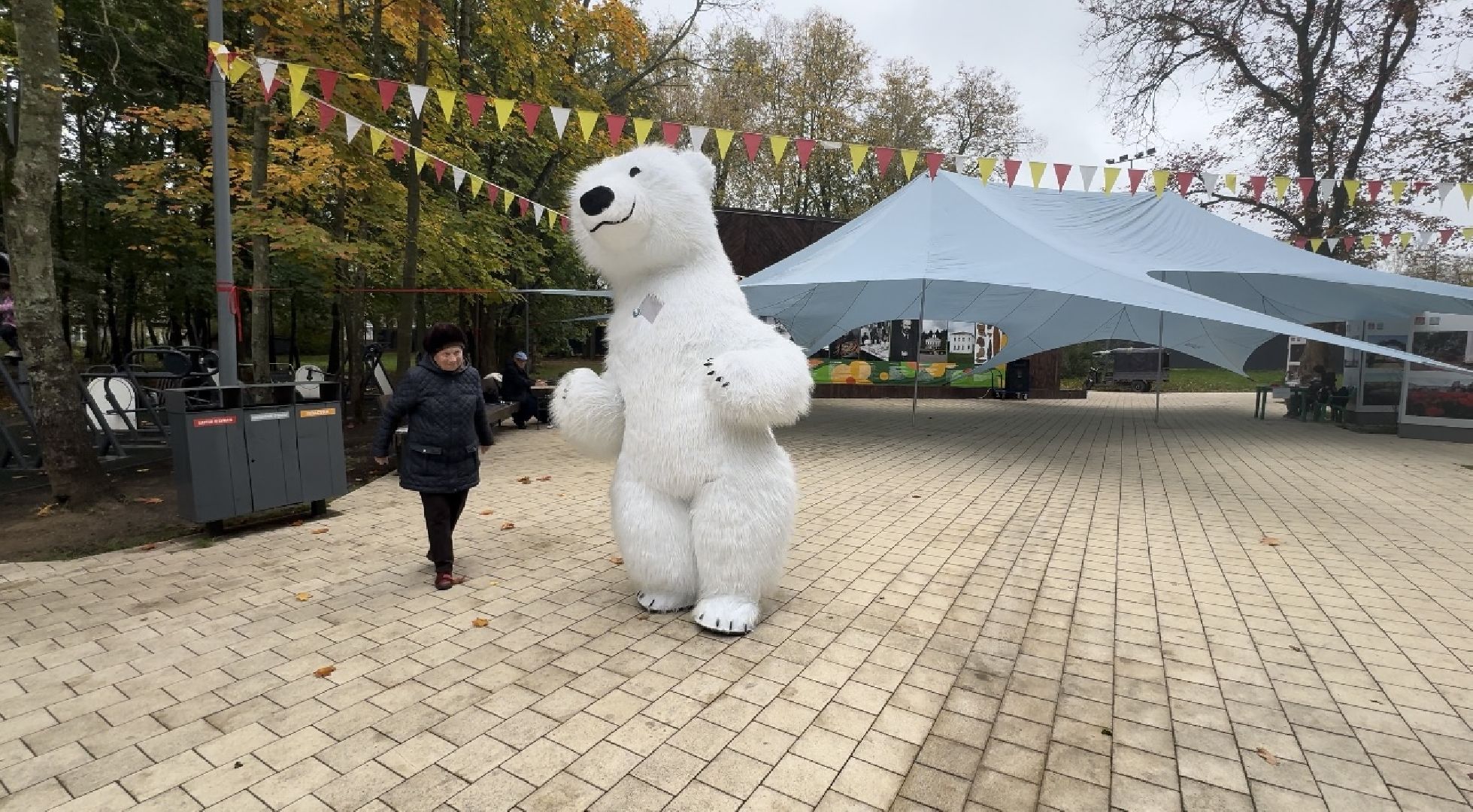 Солнечногорск, Праздник, Осень, Парк, жители,