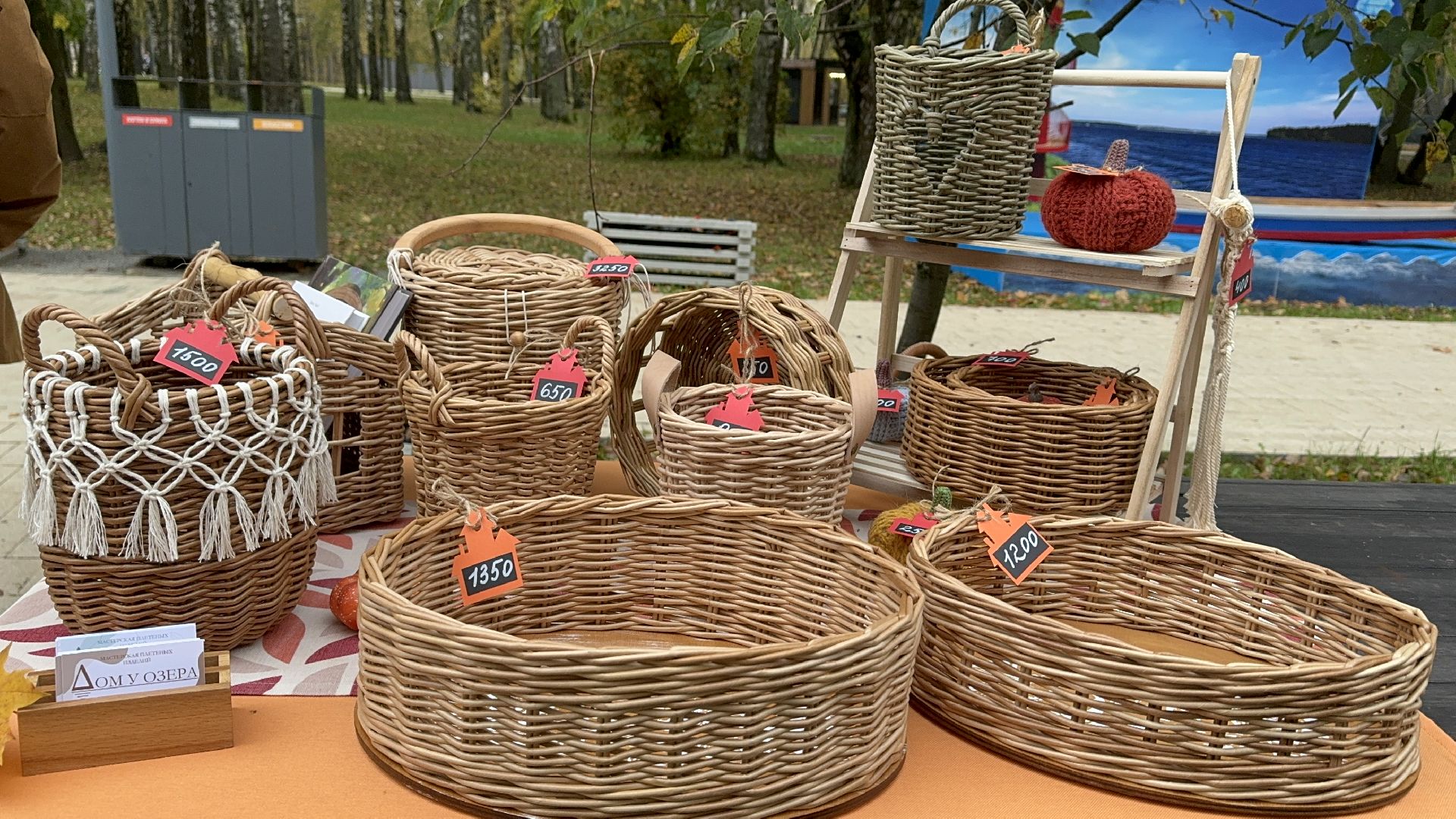 Солнечногорск, Праздник, Осень, Парк, жители,