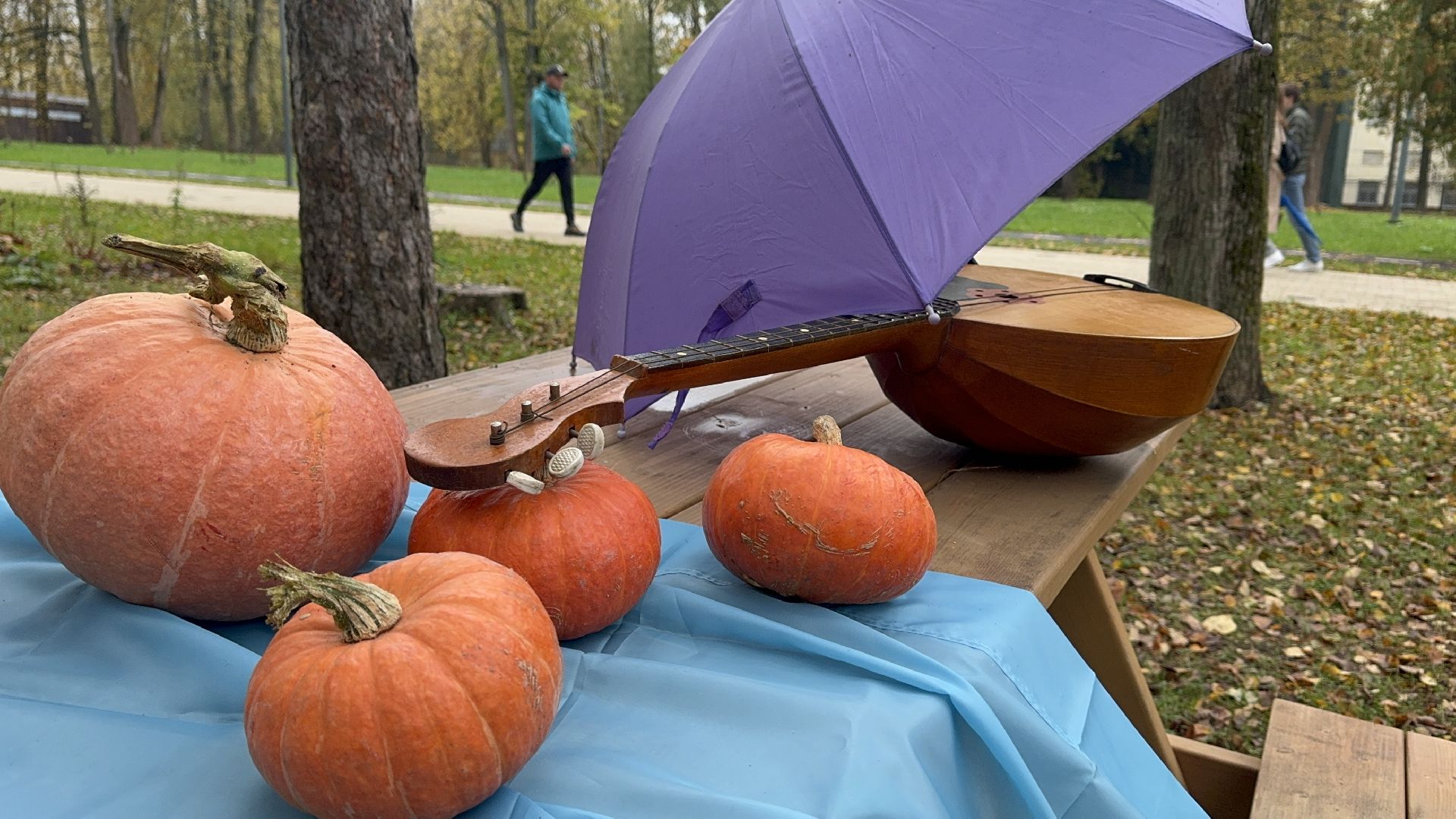 Солнечногорск, Праздник, Осень, Парк, жители,