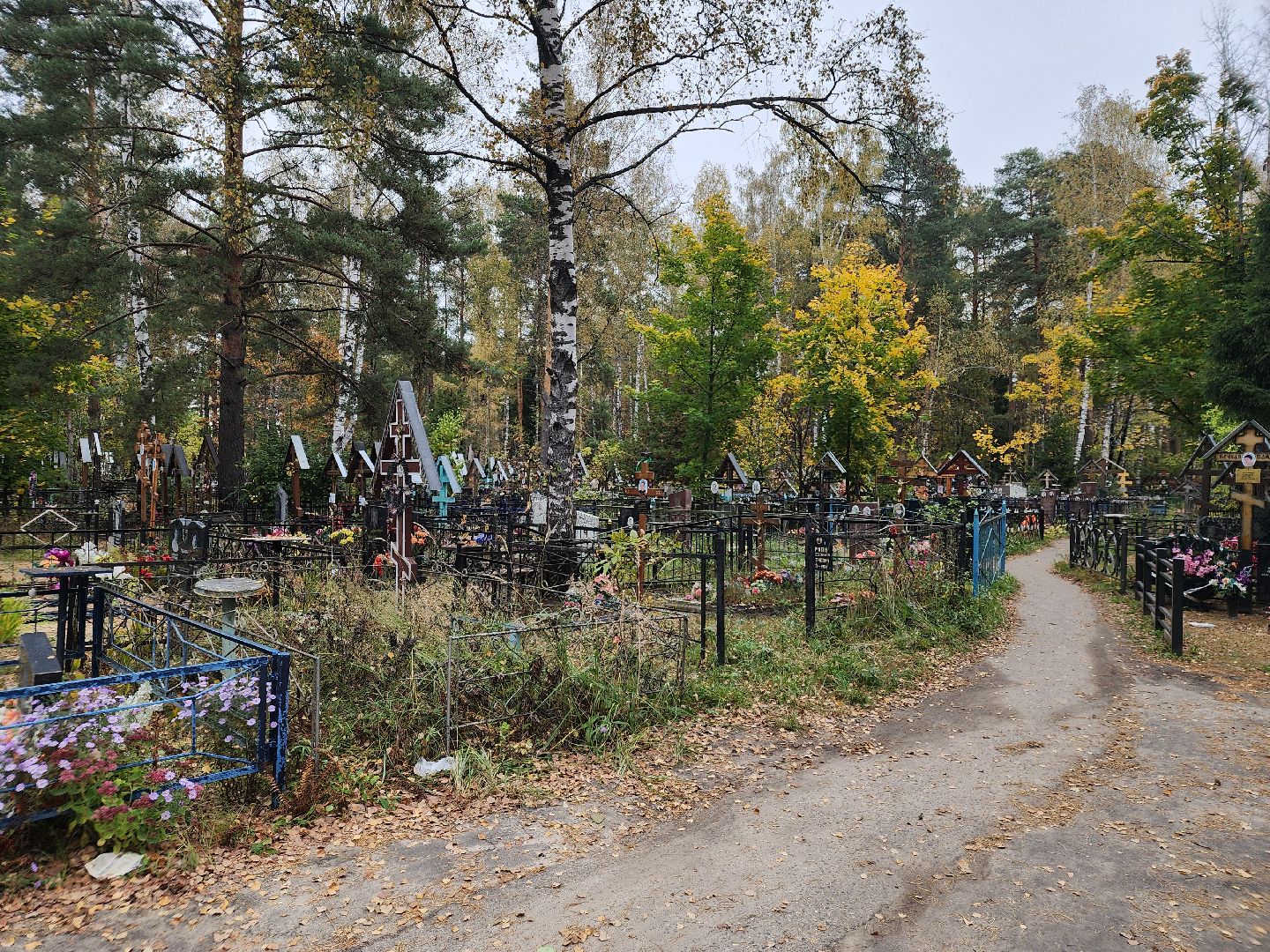 выездная администрация, куровское, орехово-зуевский округ,