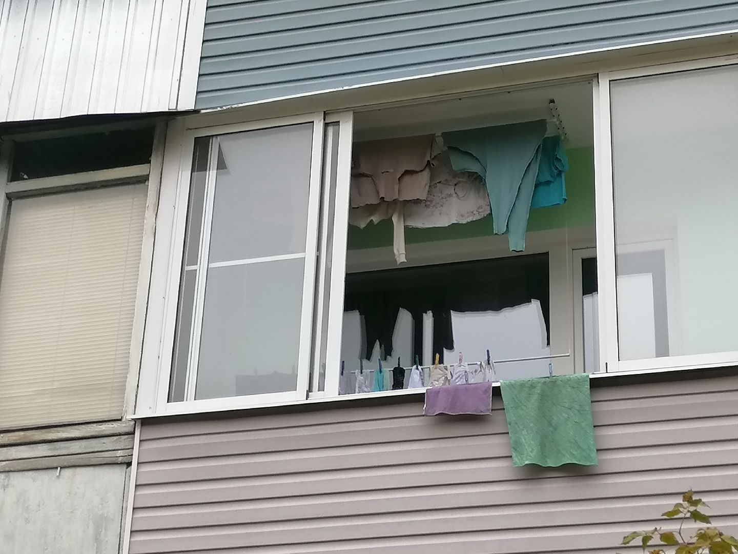 выездная администрация, куровское, орехово-зуевский округ,