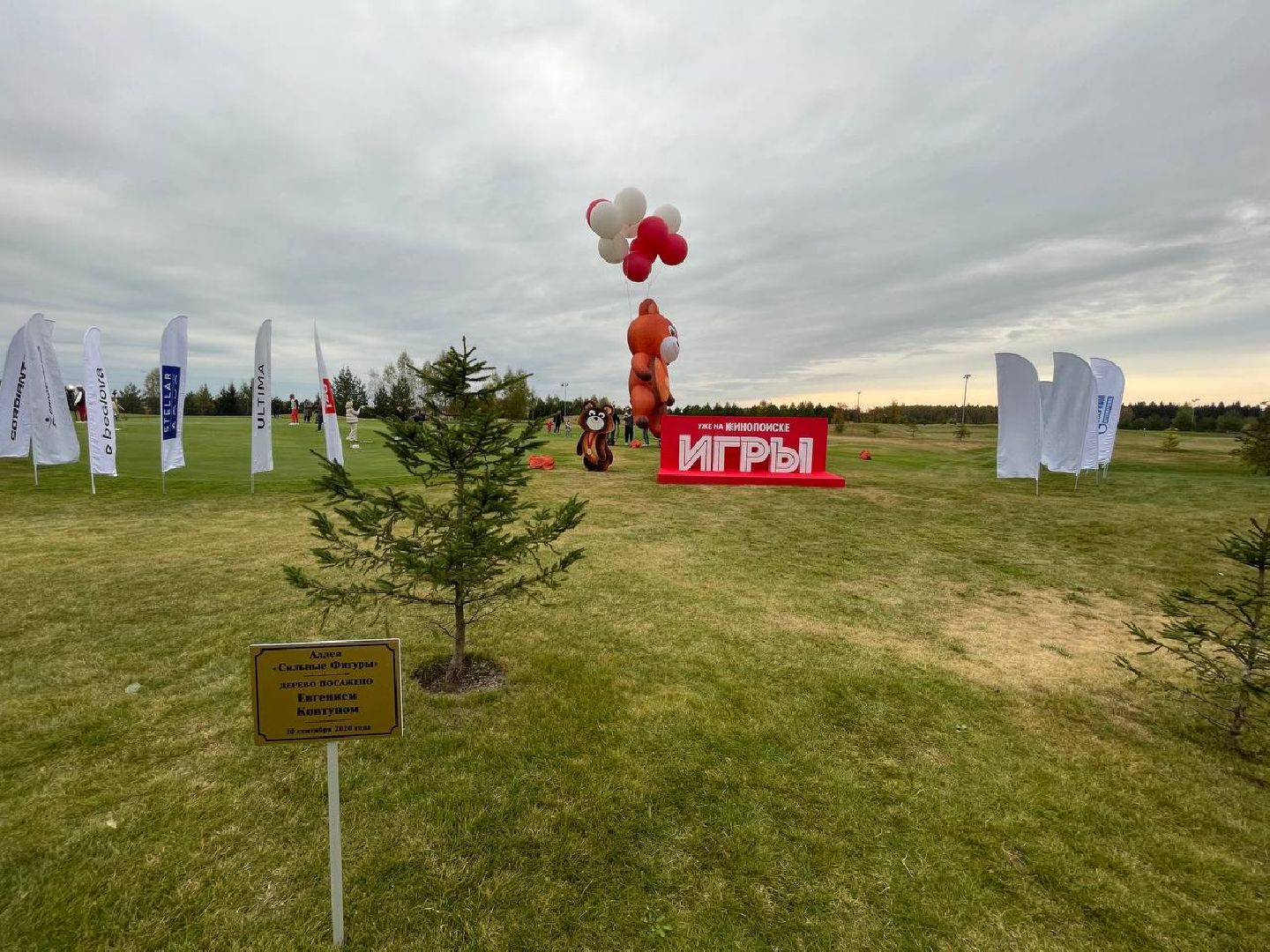 Дмитров, Фестиваль Сильные фигуры, Гольф, Минспорта,