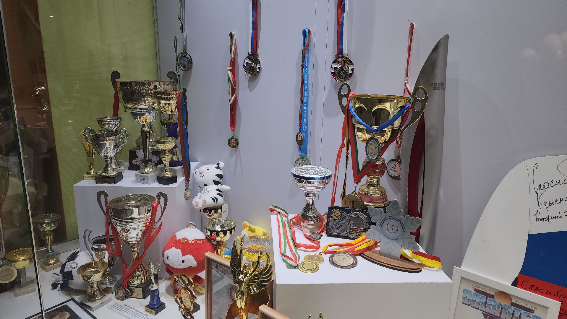 красногорск, фигуристы, арена петрова, битва школ, навка,