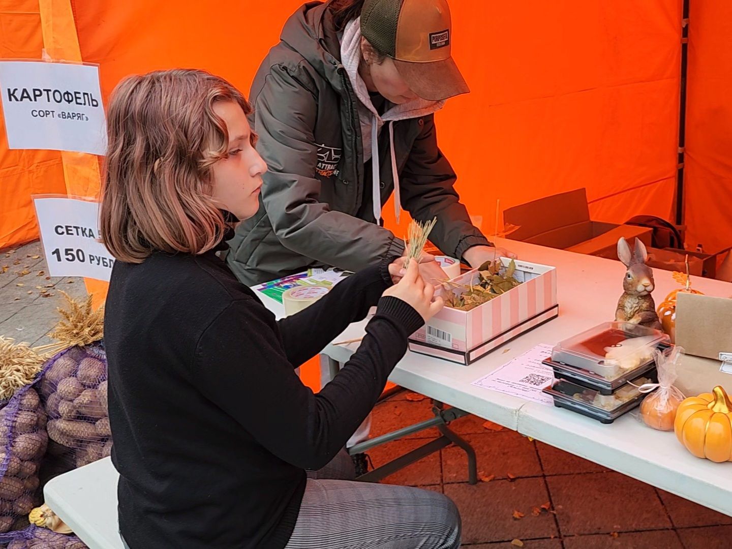 Коломна, праздник, праздник в парке, мособлпарк,