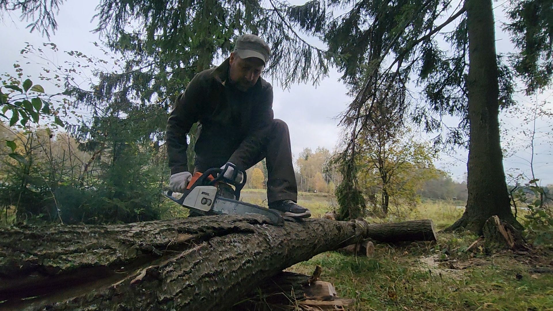 одинцово, старый городок, экология, субботник, раздельный сбор отходов,
