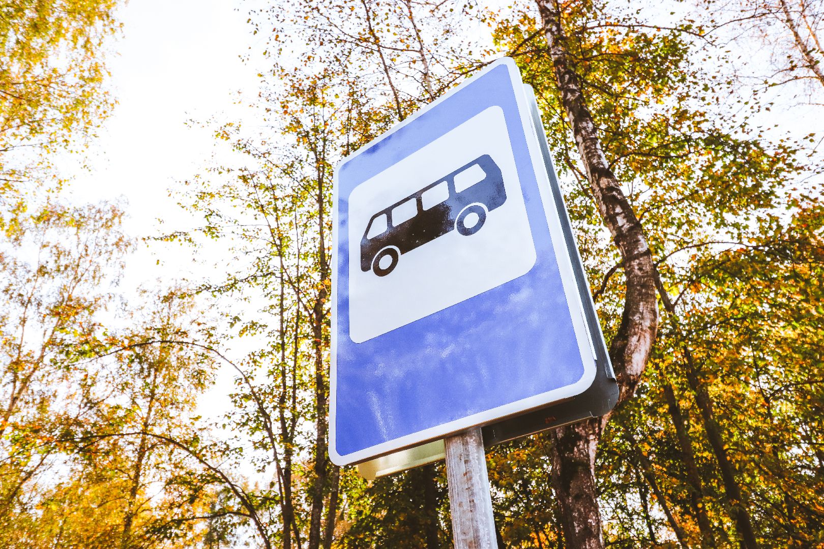 Клин, общество, транспорт, автобусы,