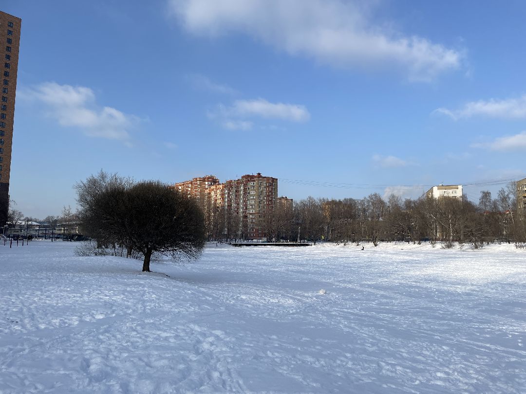 Парк, благоустройство, реконструкция