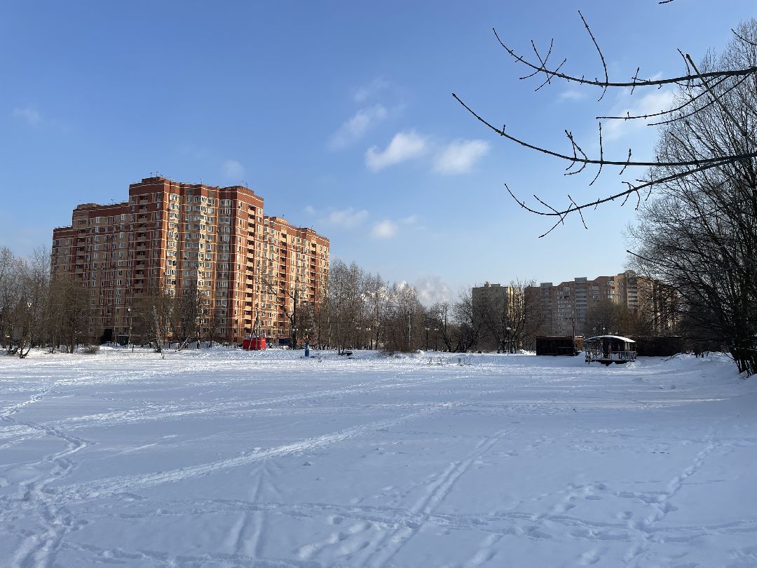 Парк, благоустройство, реконструкция